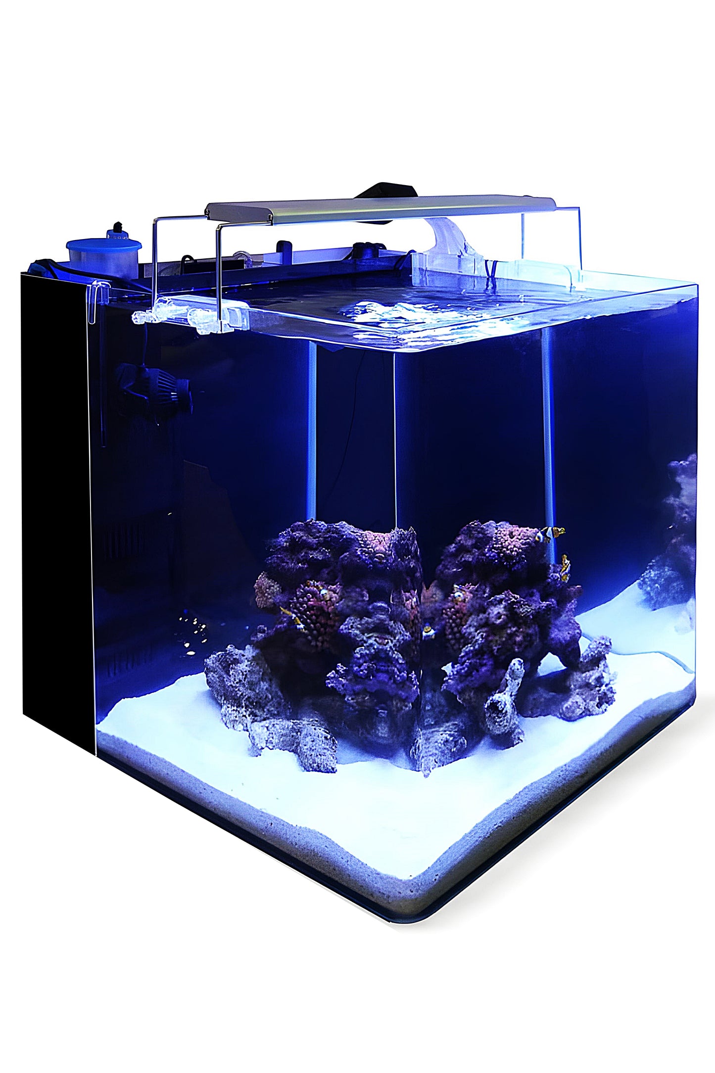 All-in-One-Aquarium 91 Marineschwarz