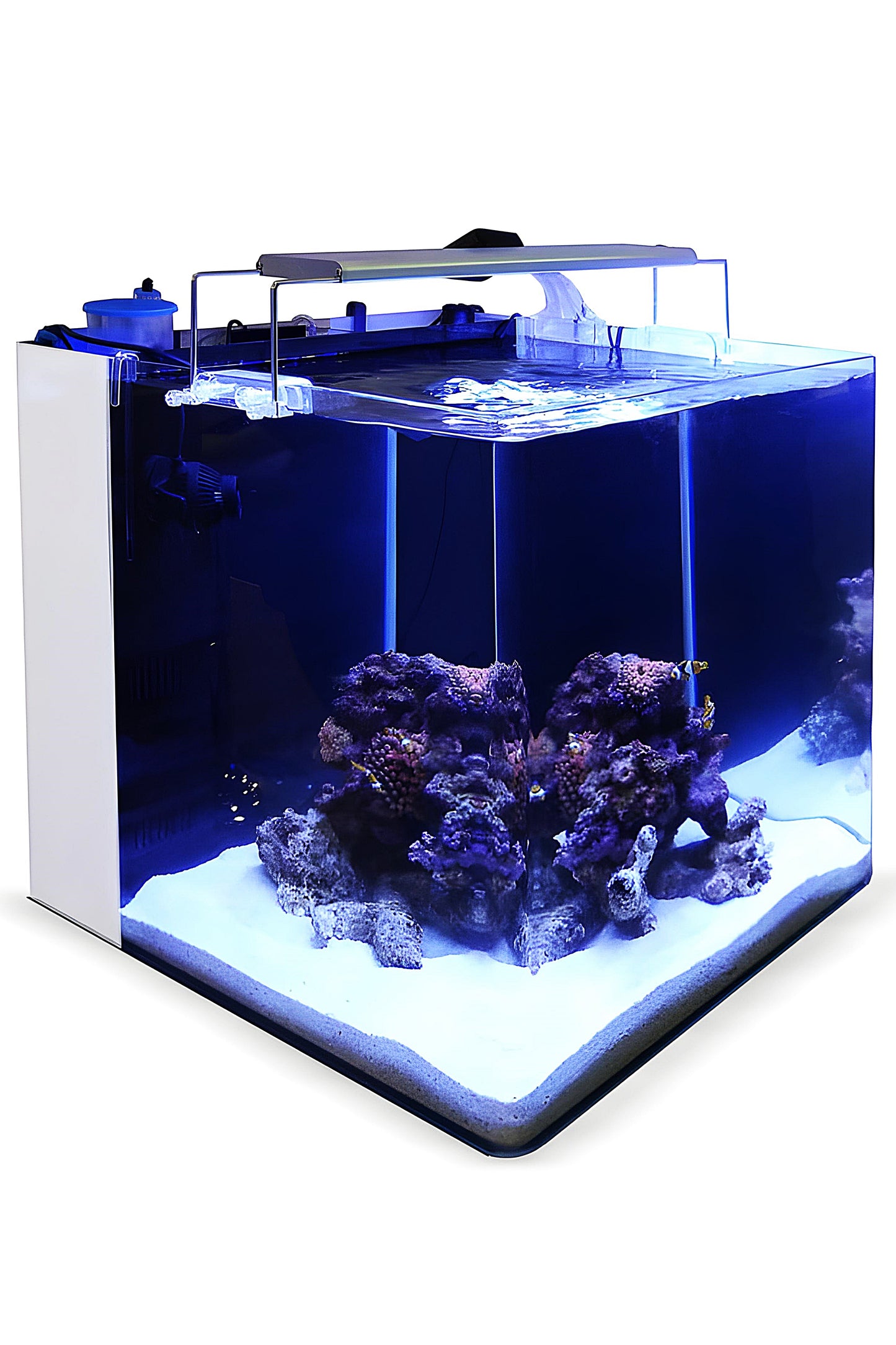 Acuario All in One 80 Marine White