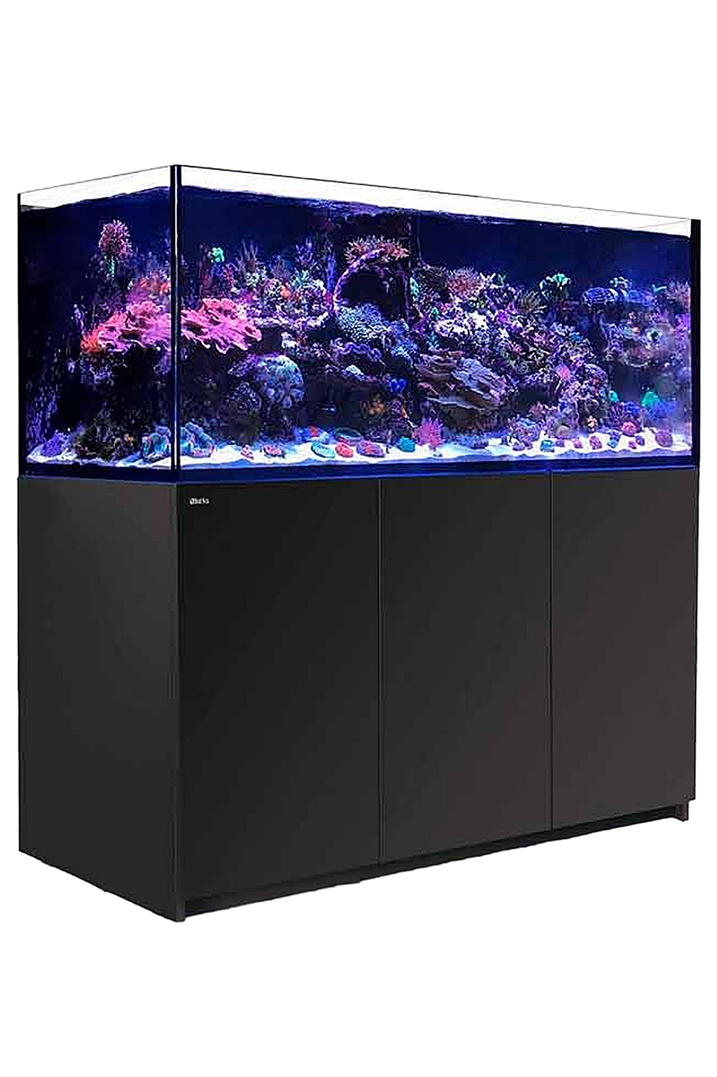 REEFER™ G2+ S - 700 Aquarium in Schwarz 564 Liter