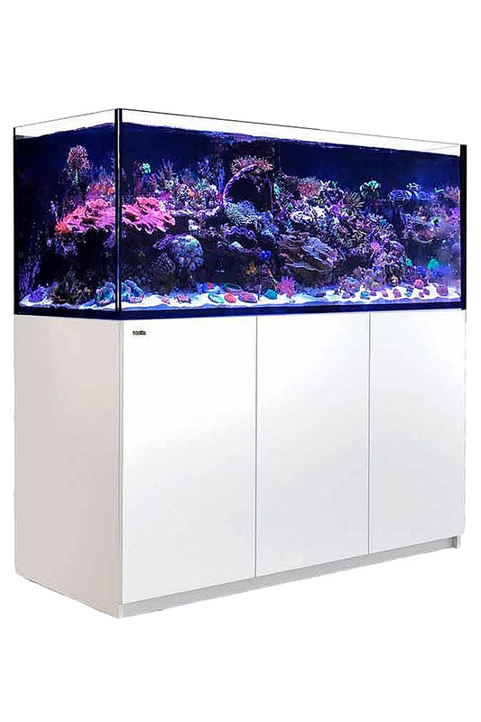 REEFER™ G2+ S Aquarium – 700 in Weiß, 564 Liter