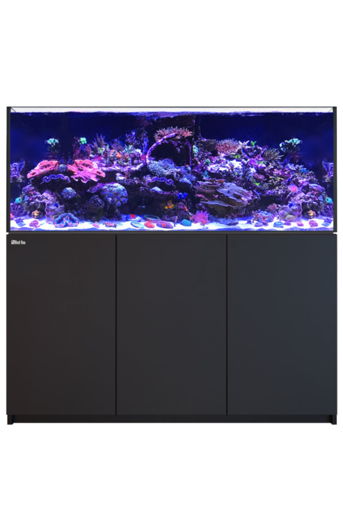 REEFER™ G2+ XXL 750 Aquarium in Schwarz 600 Liter