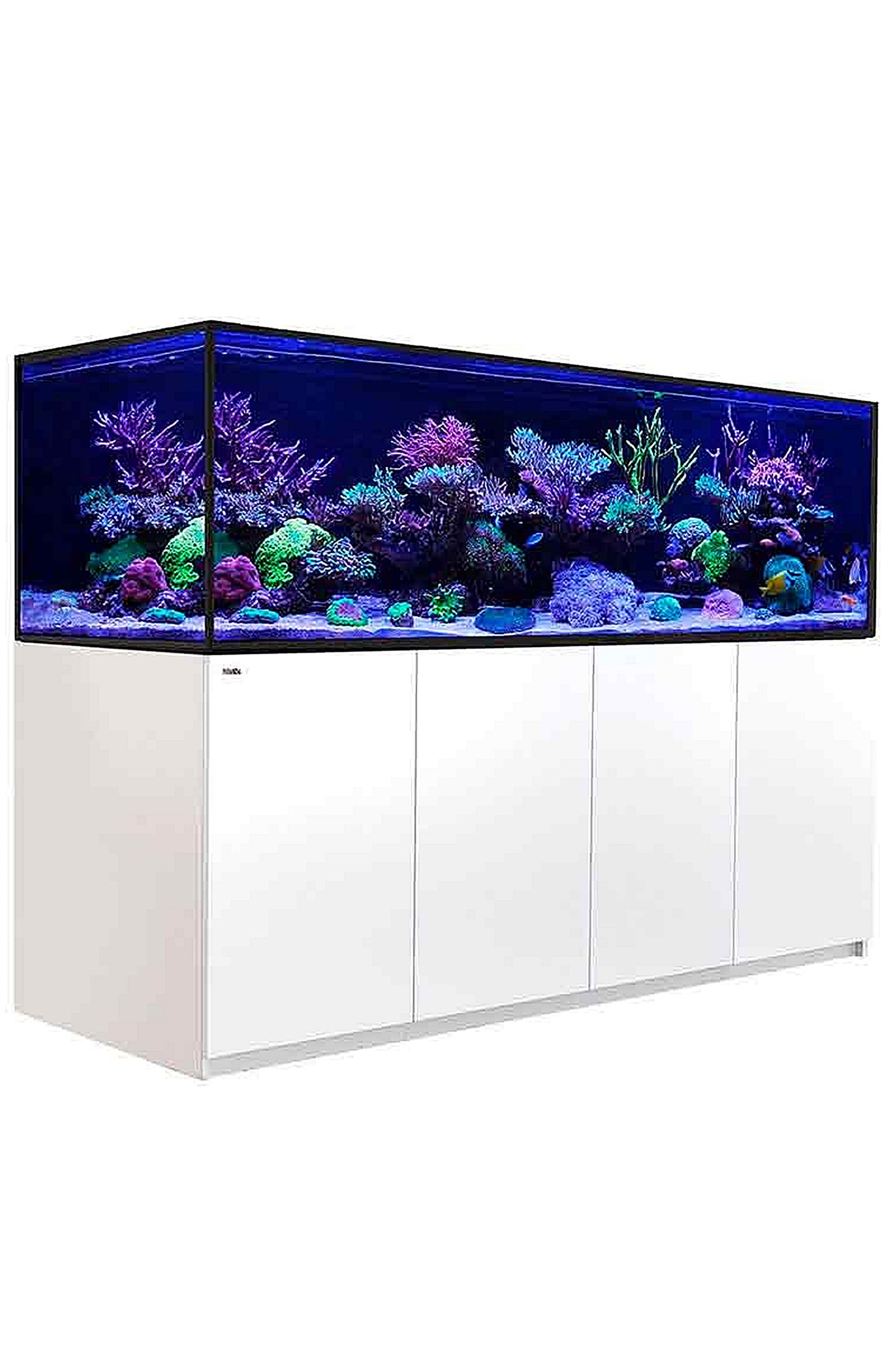 REEFER™ G2+ S Aquarium – 1000 in Weiß, 795 Liter