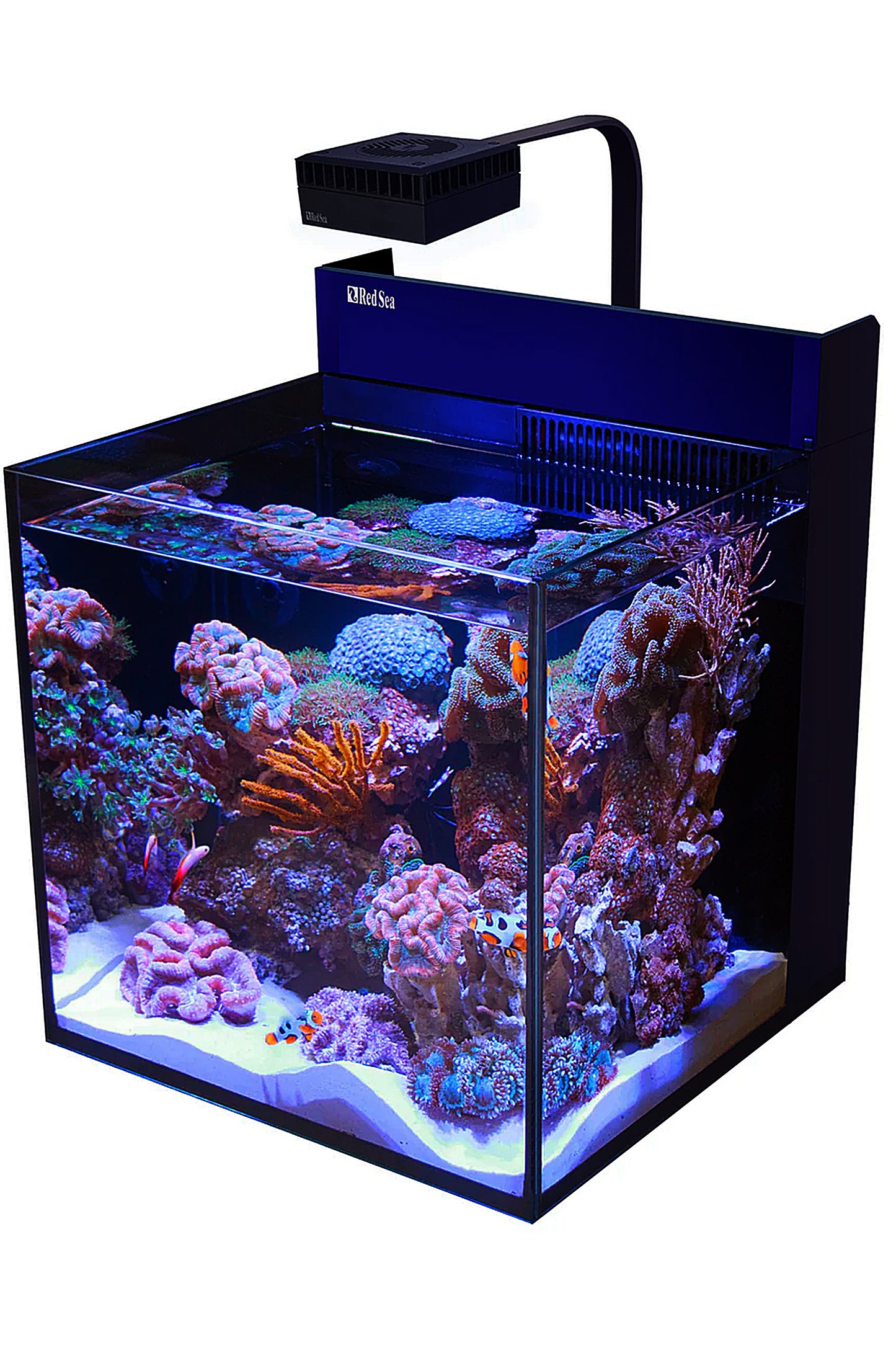 MAX NANO Peninsula Aquarium (mit ReefLED ohne Tisch) von 75 Litern