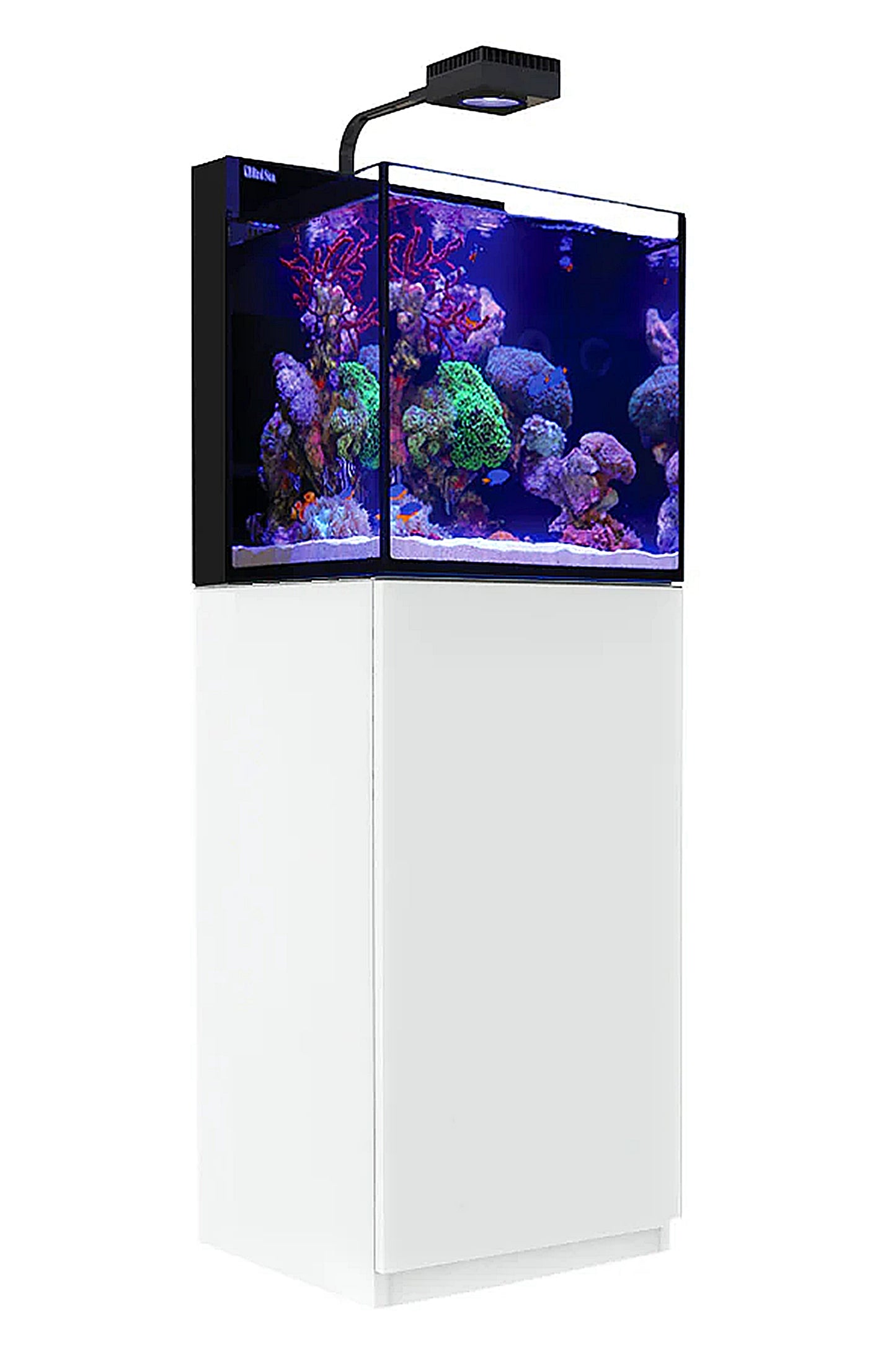 MAX NANO Peninsula Aquarium (mit ReefLED mit weißem Tisch) 75 Liter