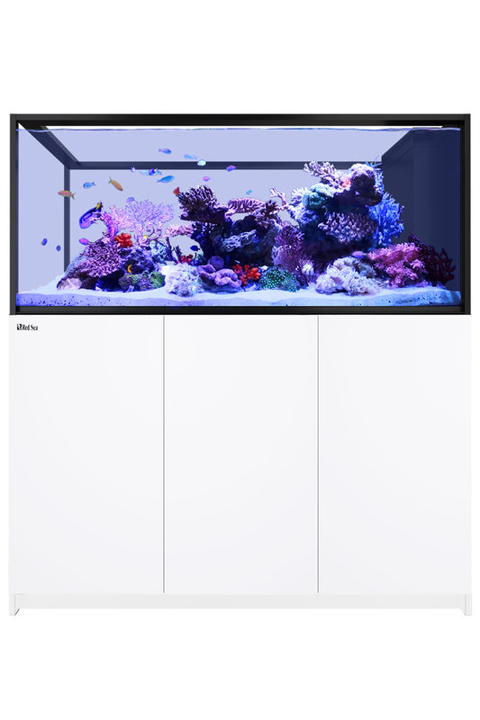 REEFER™ Peninsula G2 + S700 Aquarium in Weiß 568 Liter