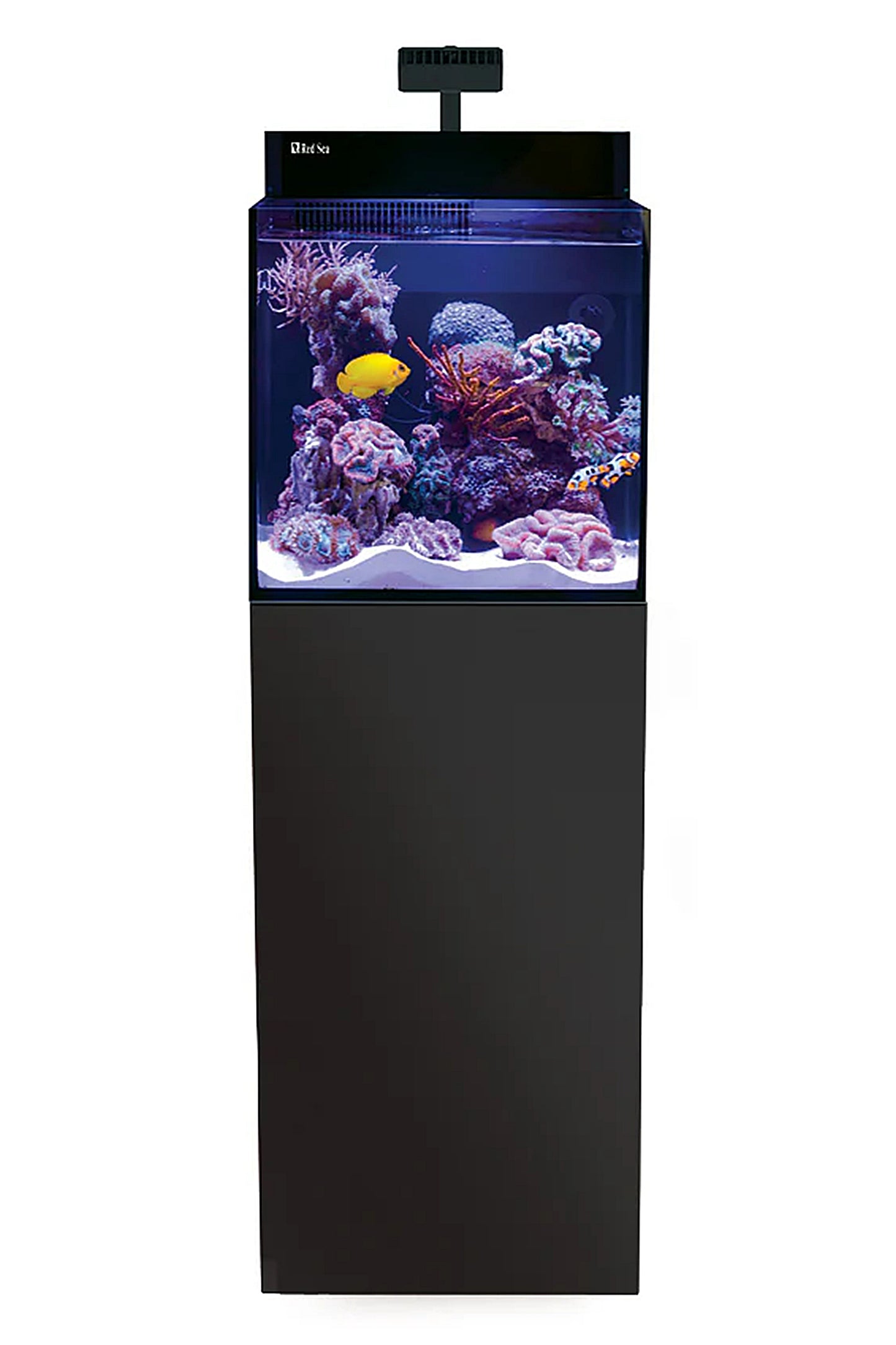 MAX NANO G2 Aquarium (mit ReefLED mit schwarzem Tisch) 75 Liter