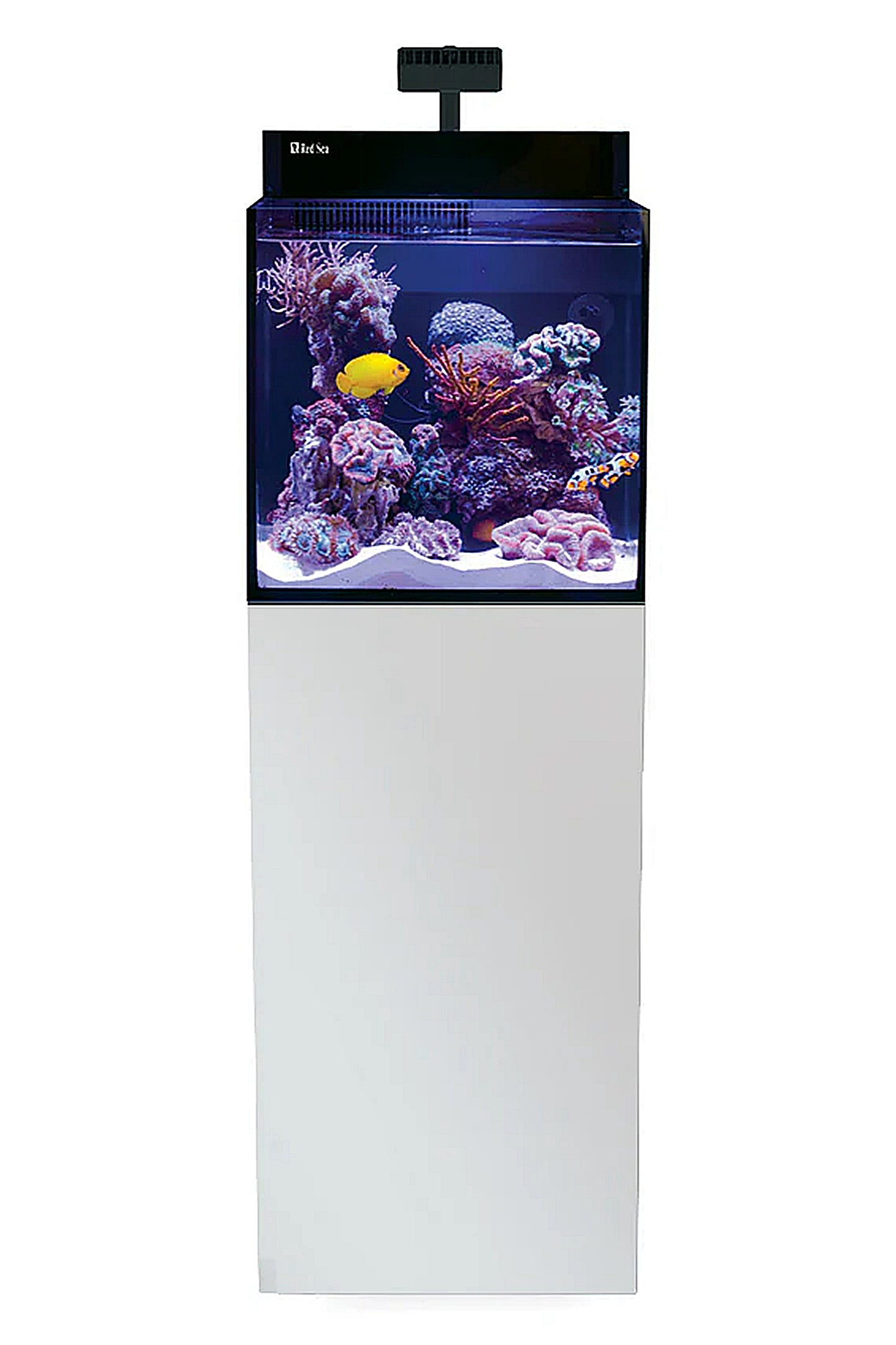 MAX NANO G2 Aquarium (mit ReefLED mit weißem Tisch) 75 Liter