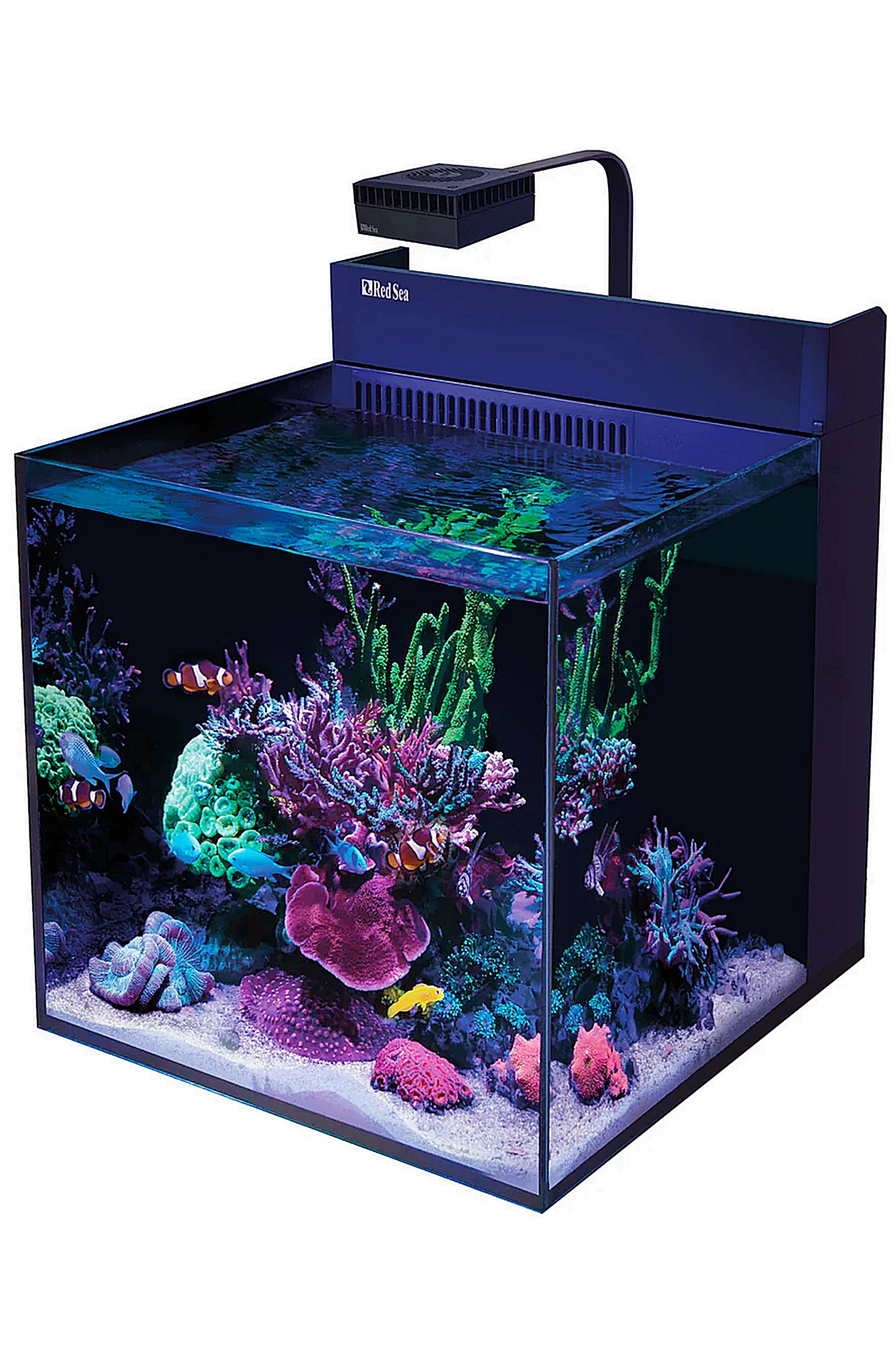 Acuario MAX NANO XL G2 (con ReefLED sin mesa) de 127 litros