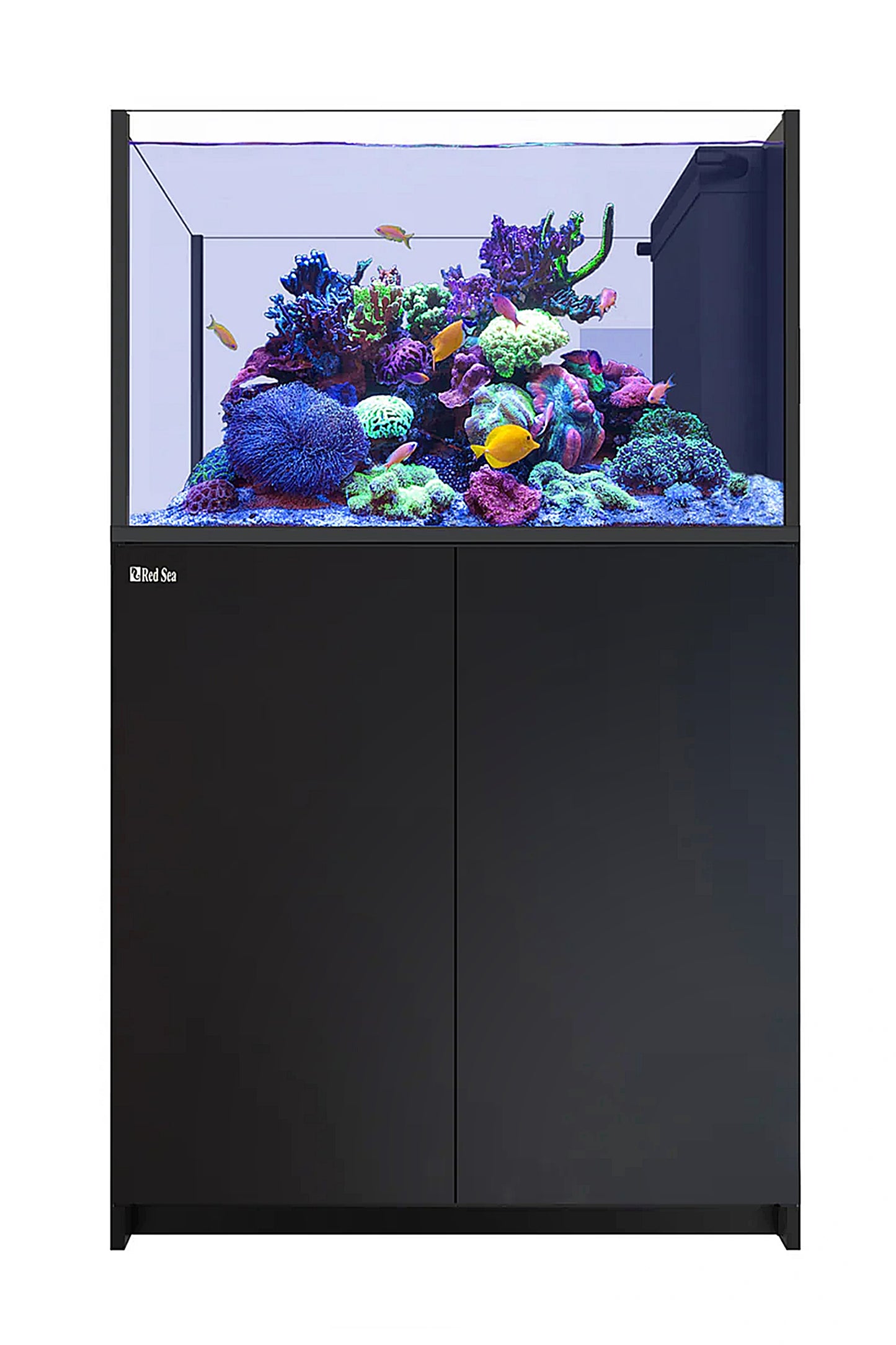 REEFER™ Aquarium Peninsula 350 Preto 2 x Reef Led 90W LED SUPORTE DE TETO ReefClean300