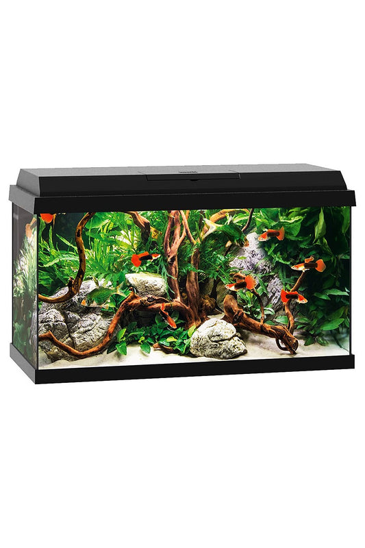 JUWEL PRIMO 60L Aquarium