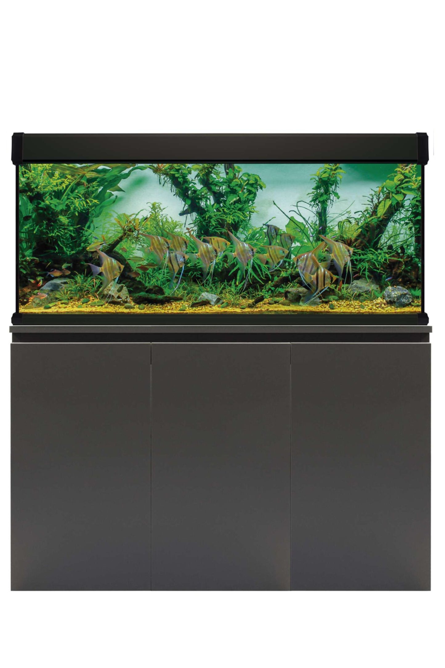 AquaLUX PRO 450 - Acuario de 450 litros con mueble Negro