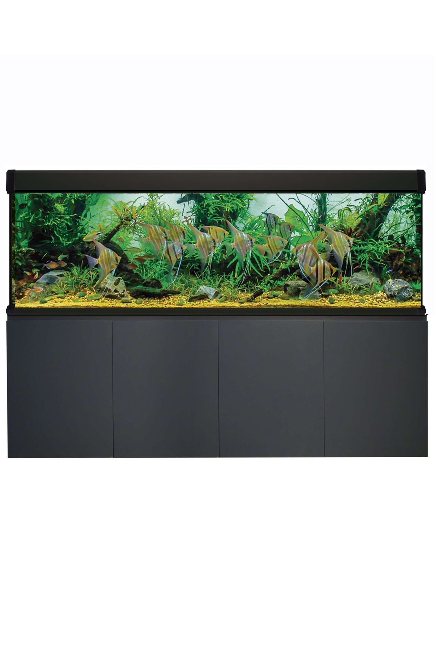 AquaLUX PRO 600 - Acuario de 600 litros con mueble Negro