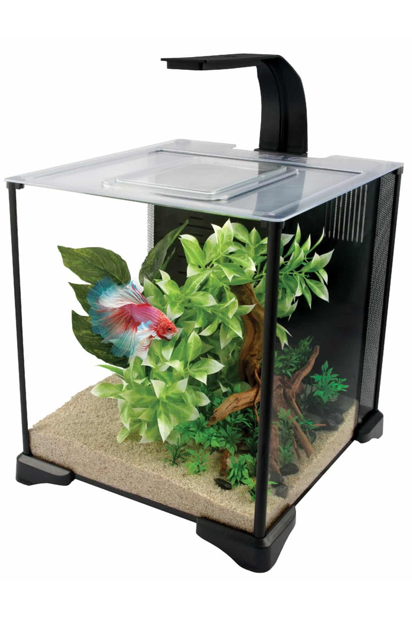 Fluval Betta Aquarium Kit de 20 litros