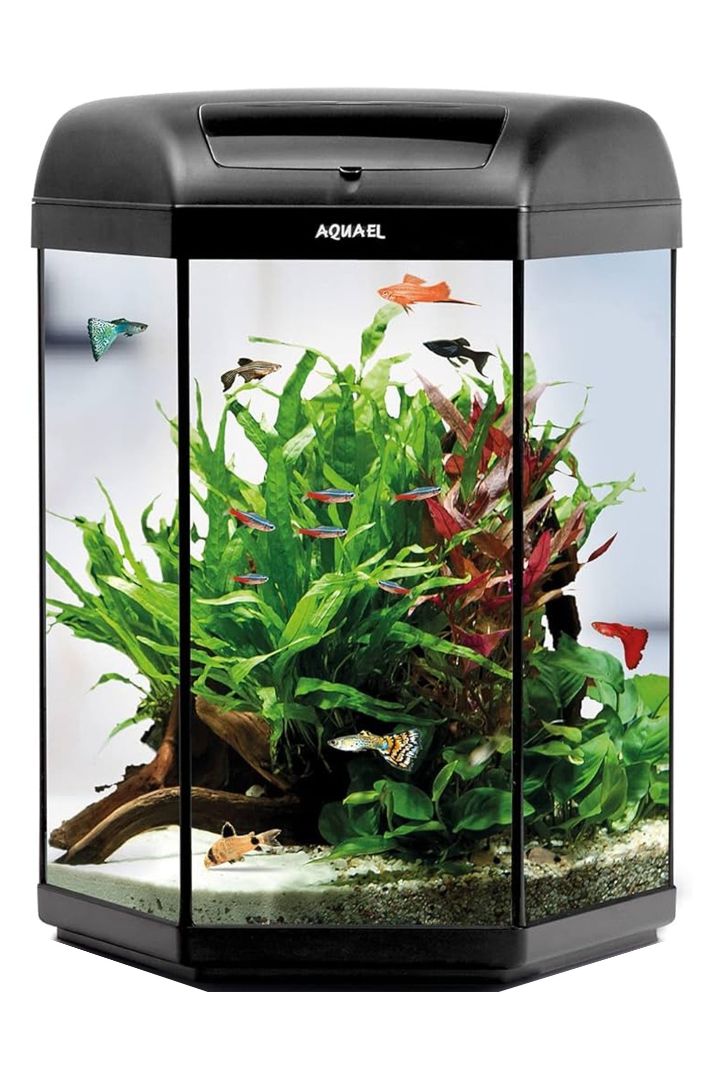 AQUAEL - Hexa Set 60