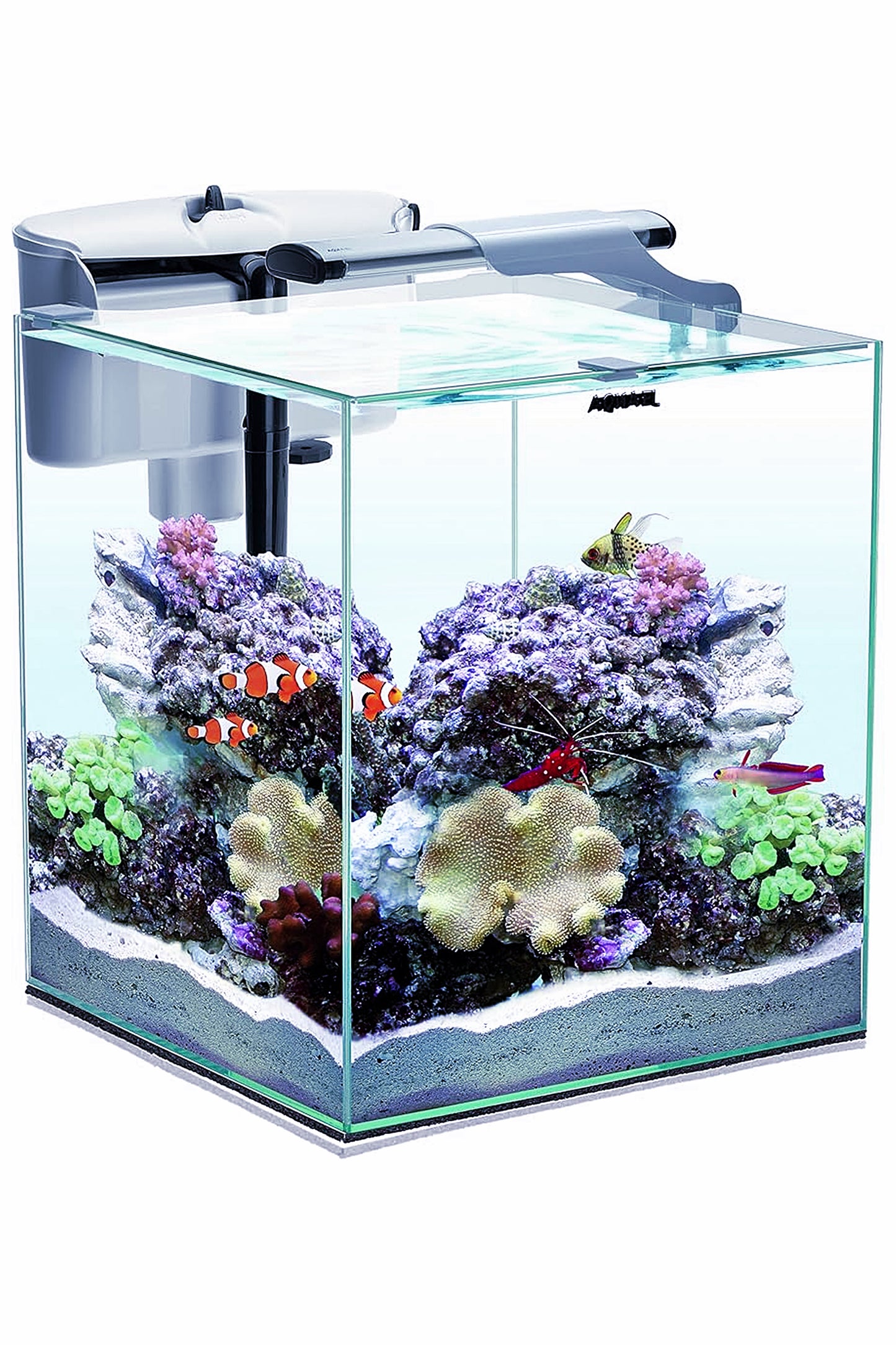 AQUAEL - Nano Reef Duo 35 von 49 Litern