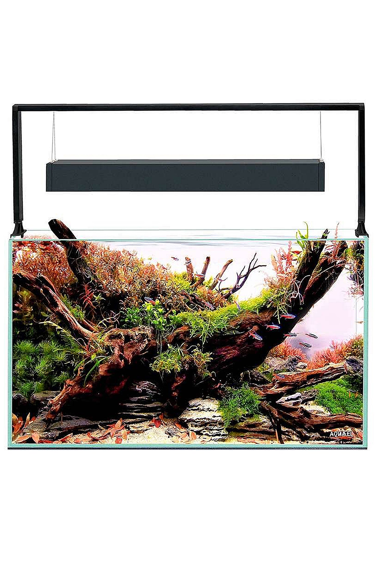 AQUAEL - Conjunto Aquário Florestal Ultrascape 60 de 65 litros