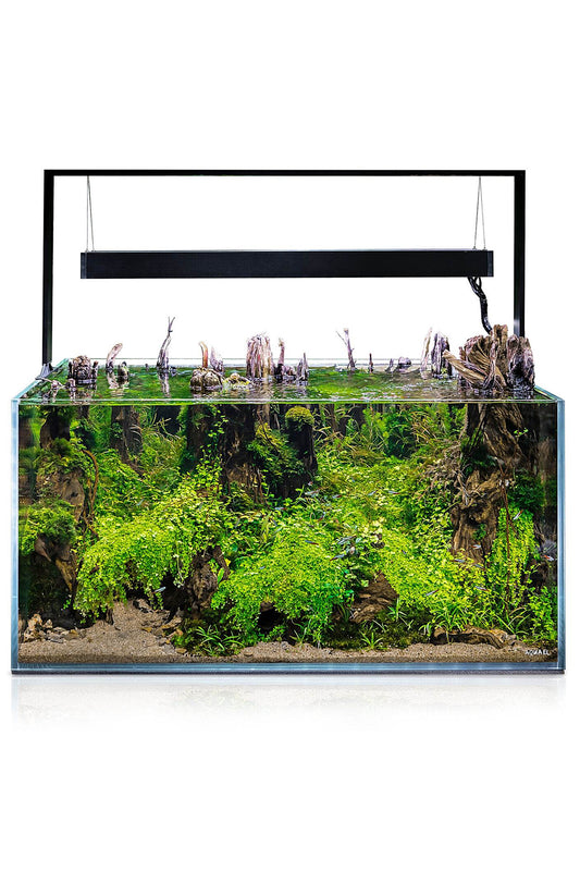 AQUAEL - Ultrascape 90 Waldaquarium-Set mit 243 Litern