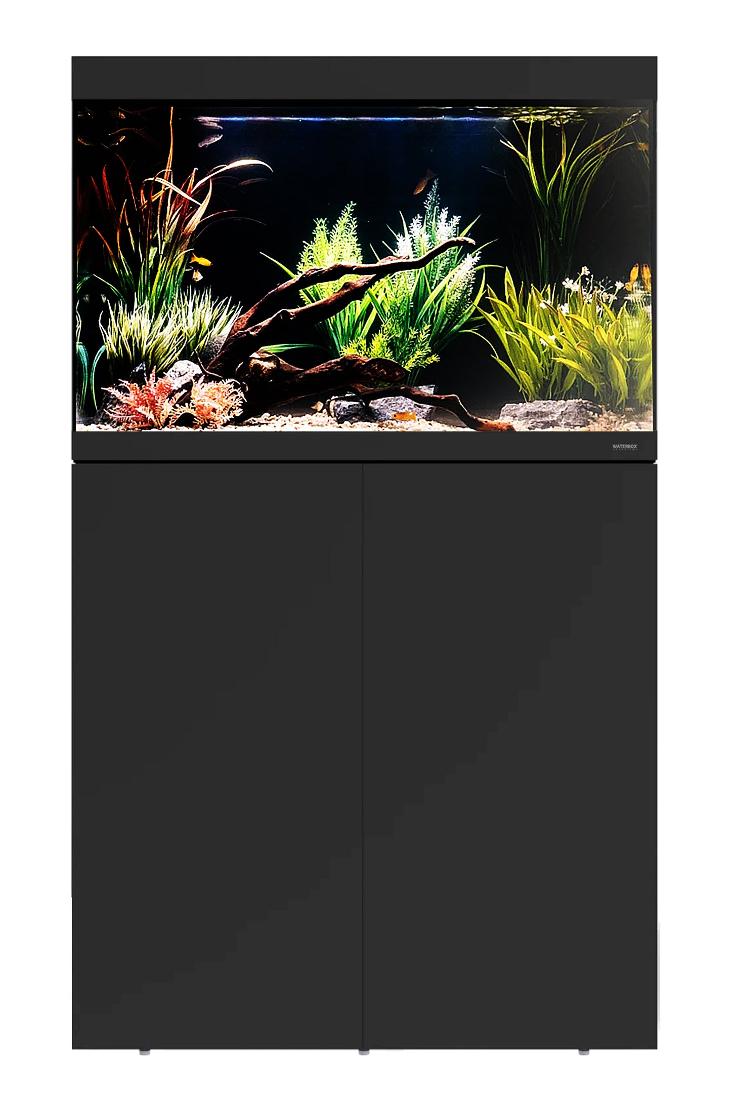 WATERBOX - EDEN 40 Aquarium mit 150 Liter schwarzem Tisch