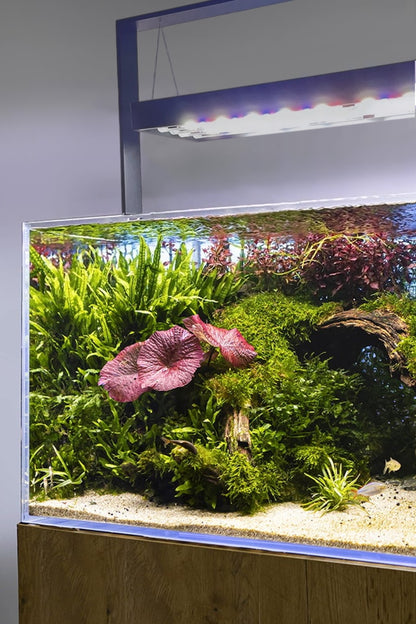AQUAEL - Ultrascape 90 Forest Set - Acuario de 243 litros con mueble