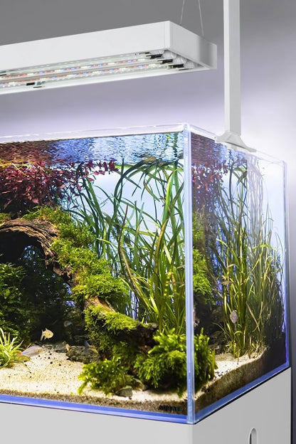 AQUAEL - Acuario Ultrascape 90 Snow Set de 243 litros