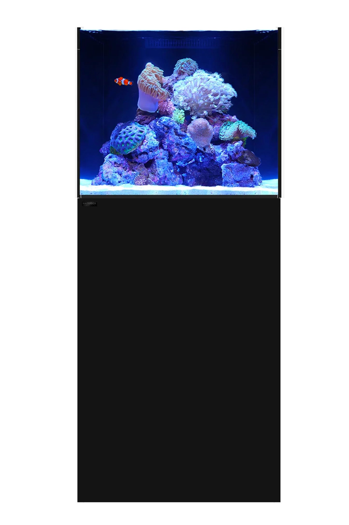 WATERBOX - MARINE-X 60.2 Aquarium mit schwarzem Unterschrank - 136 Liter