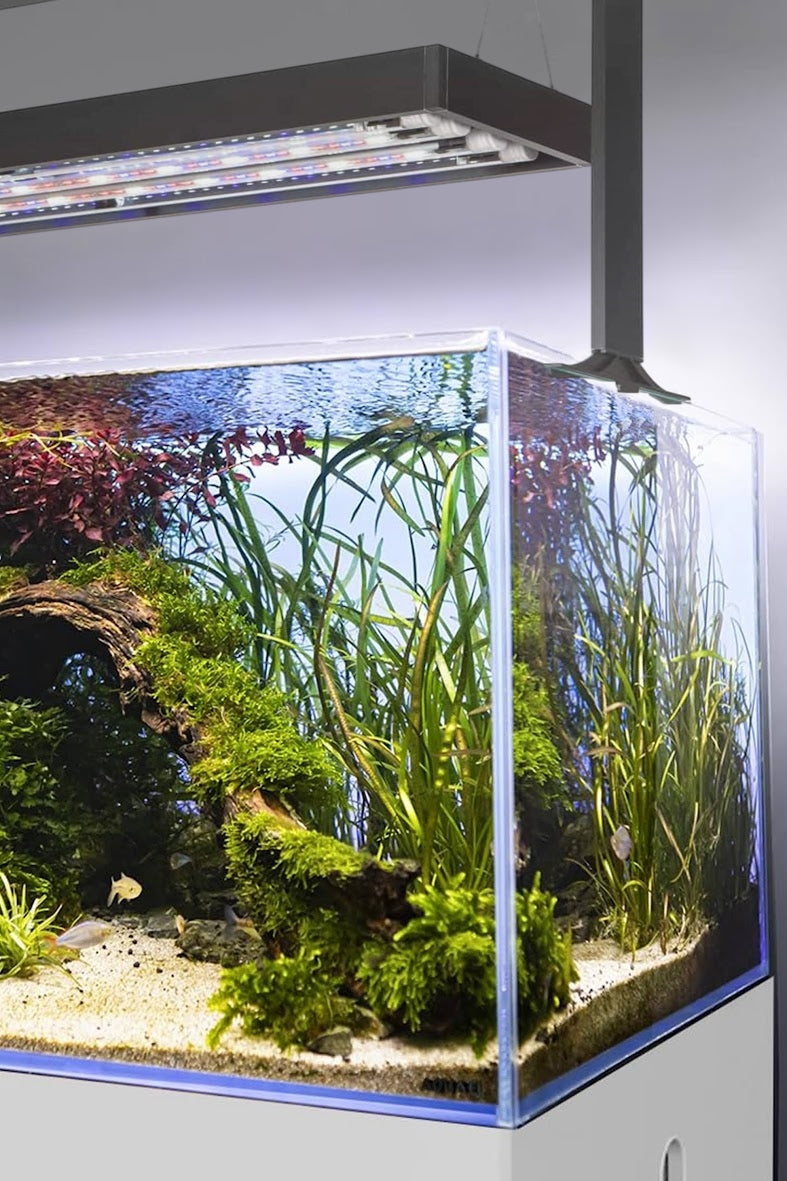 AQUAEL - Ultrascape 90 Set - Acuario Forest de 243 litros con mueble Snow