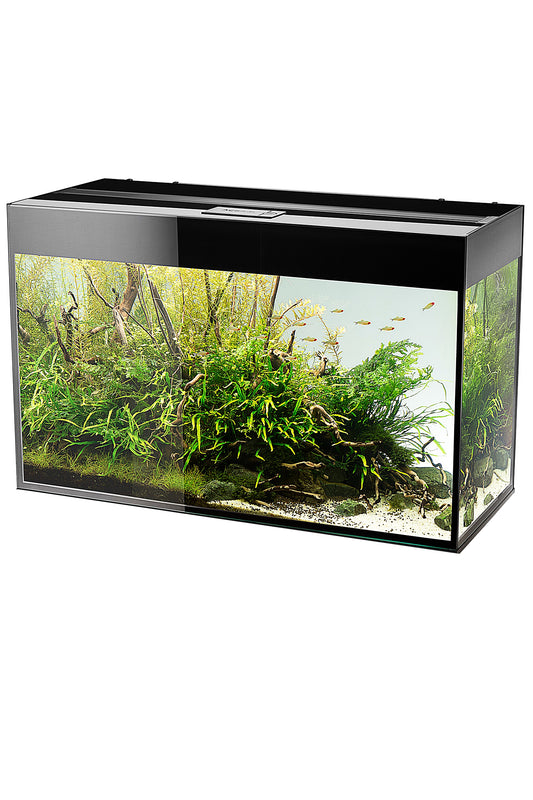 Acuario AQUAEL GLOSSY 120 BLACK de 260 litros