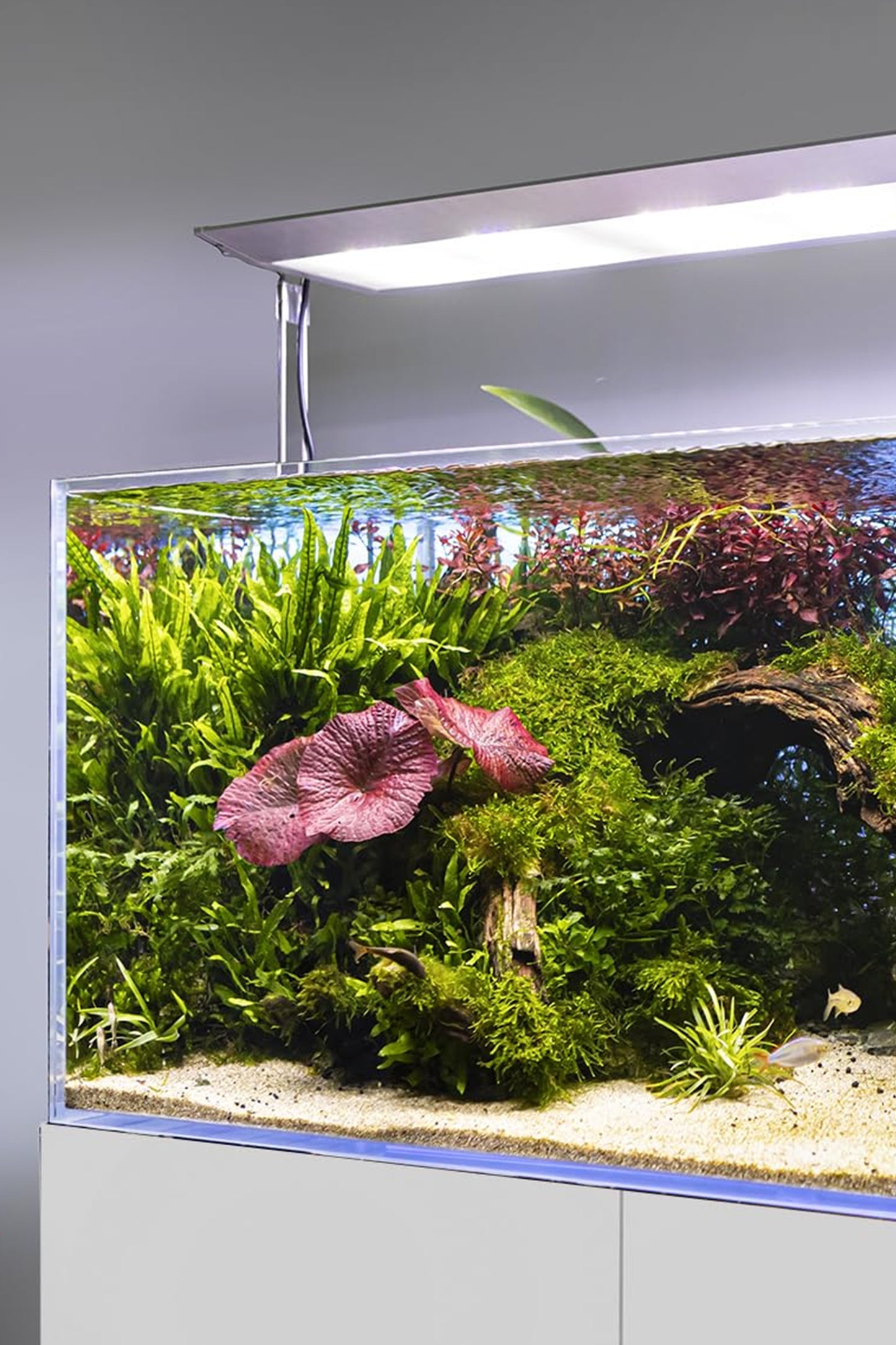 AQUAEL - Acuario Ultrascape 90 Diamond Edition de 243 litros