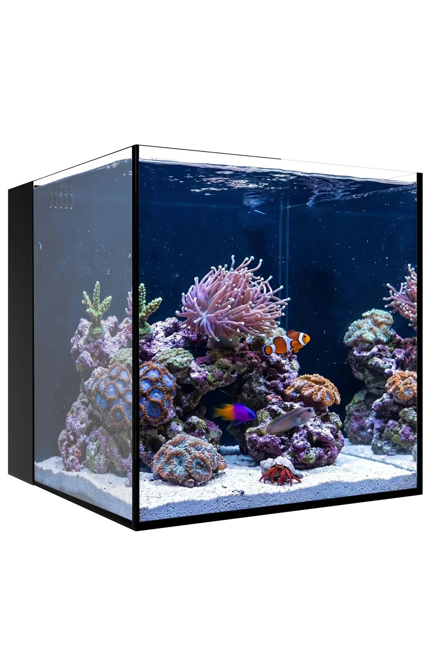 WATERBOX - Nuevo Acuario AIO 20 CUBE de 76 litros