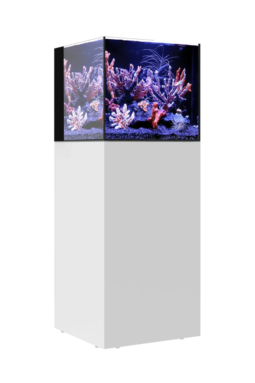 WATERBOX - Nuevo Acuario AIO 20 CUBE con mueble Blanco de 76 litros