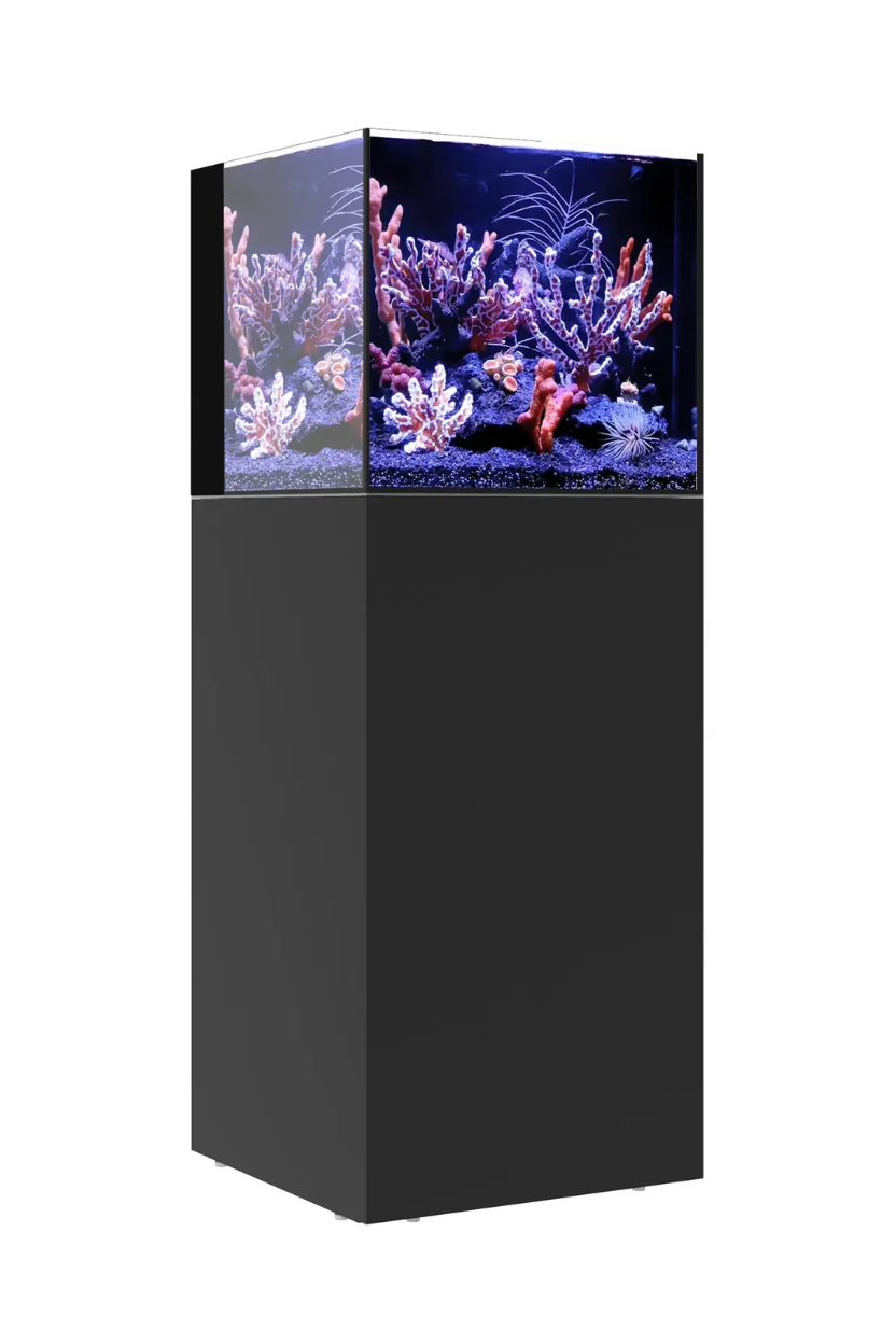 WATERBOX - Nuevo Acuario AIO 20 CUBE con mueble Negro de 76 litros