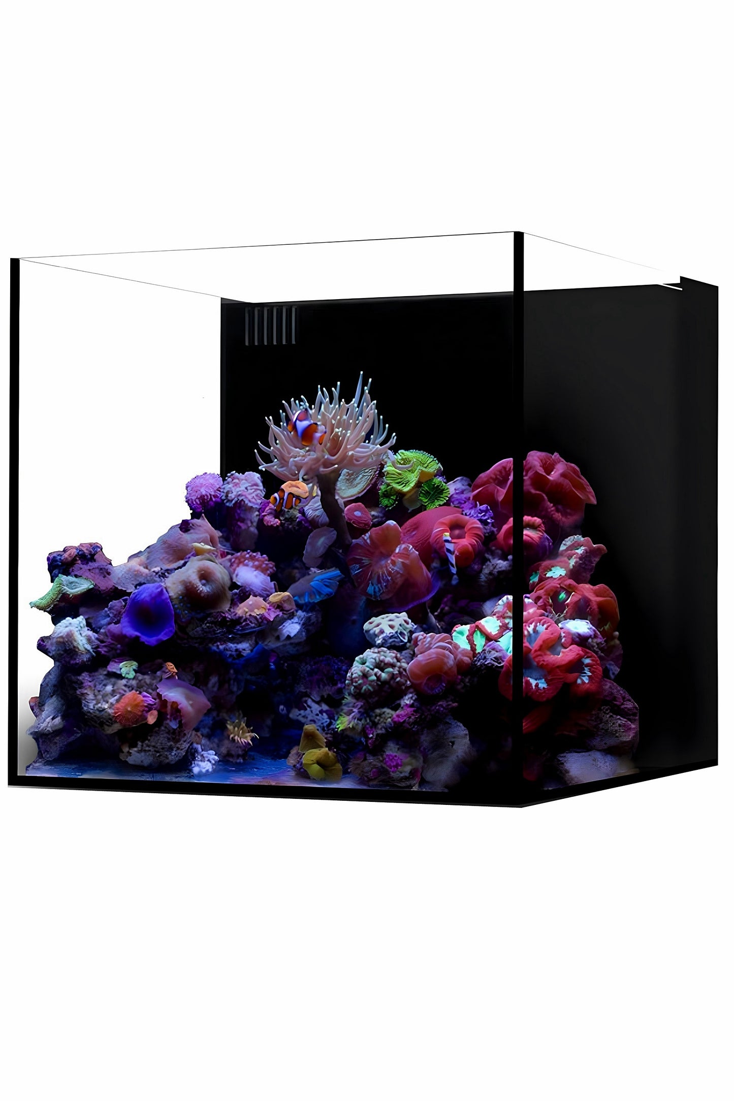 WATERBOX - Nuevo Acuario AIO 35.2 de 125 litros