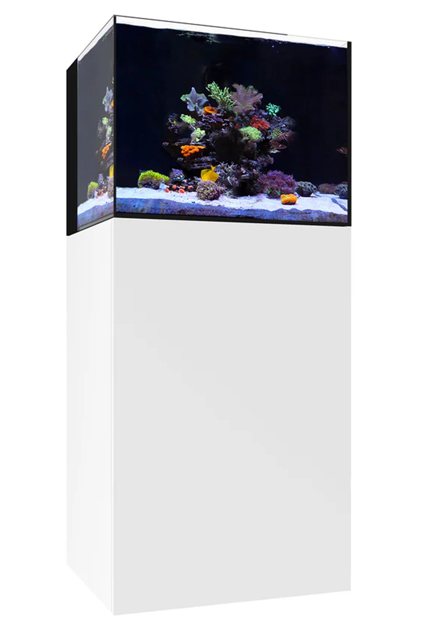 WATERBOX - Nuevo Acuario AIO 35.2 con mueble Blanco de 125 litros