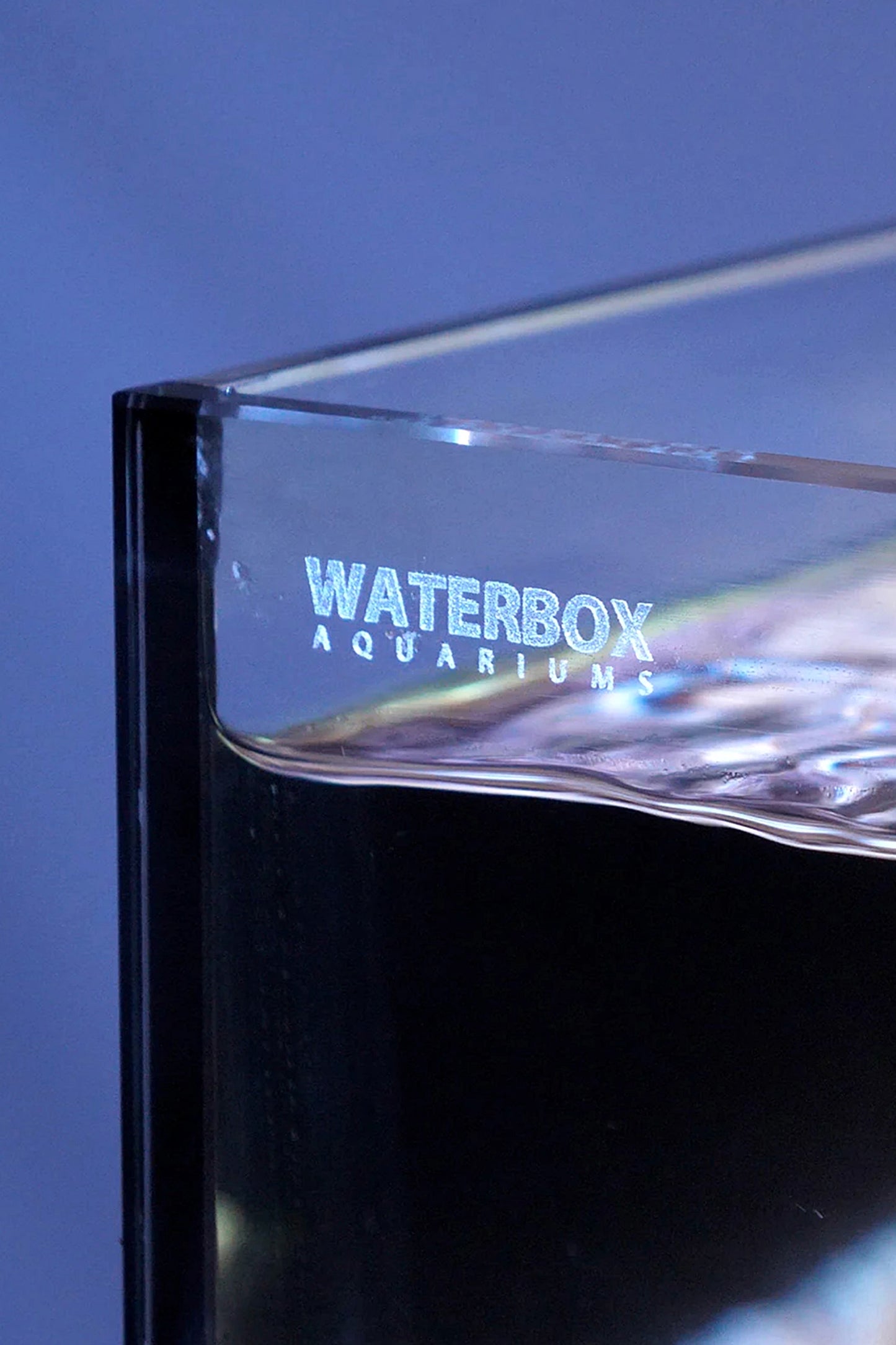 WATERBOX - Nuevo Acuario AIO 65.4 con mueble Aspen de 249 litros