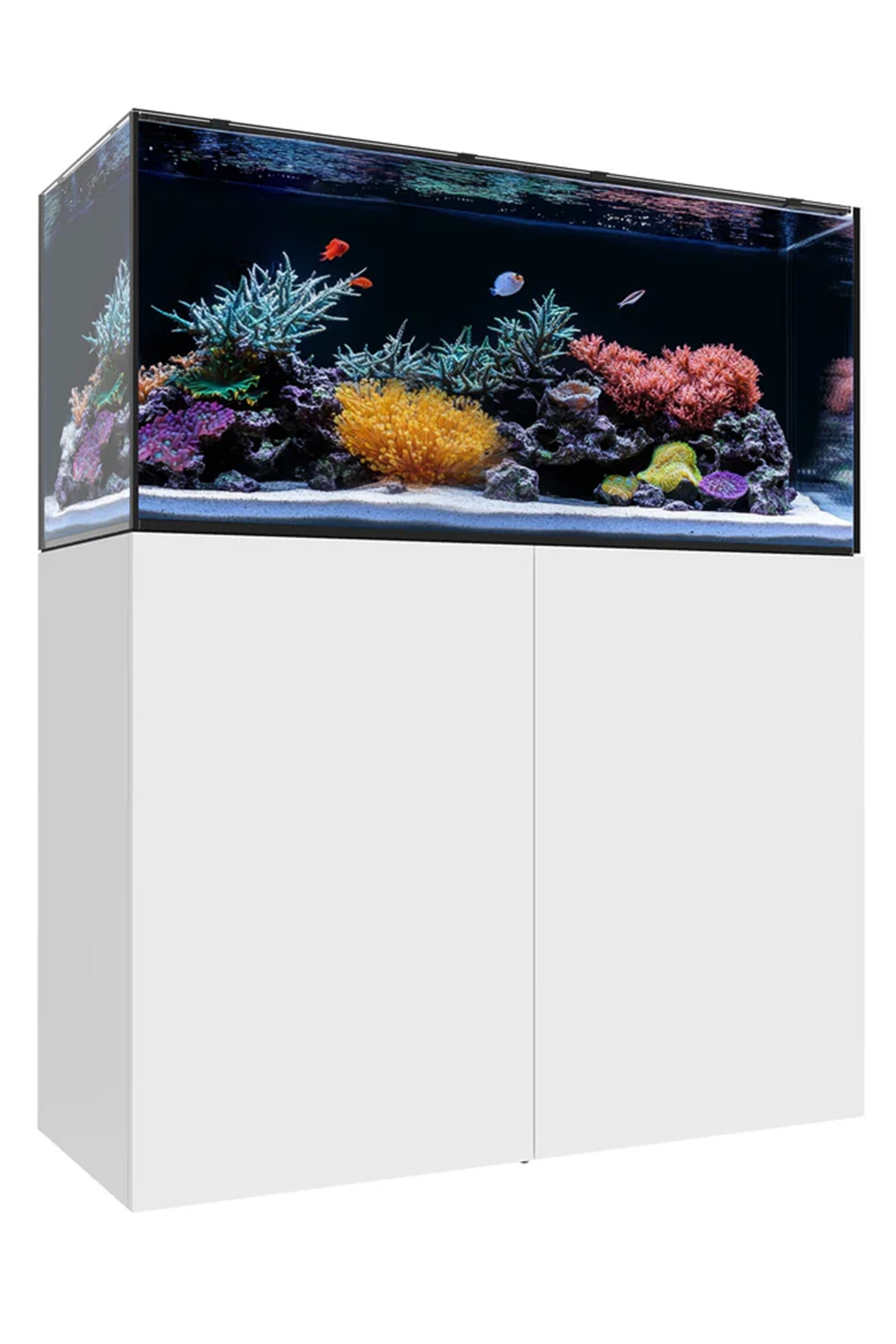 WATERBOX - Nuevo Acuario MARINE EX™ 110.4 con mueble Blanco de 301 litros
