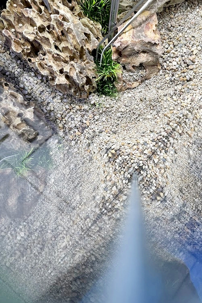 Opti Tank Scape 90 con Stand Blanco - Urna de cristal óptico de 243 litros