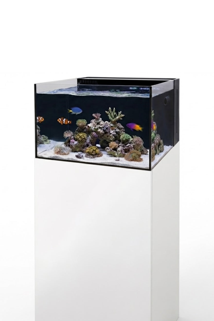 Nuevo YASHA 100 LAGOON de AquaMedic - Acuario marino Shallow de 105 litros