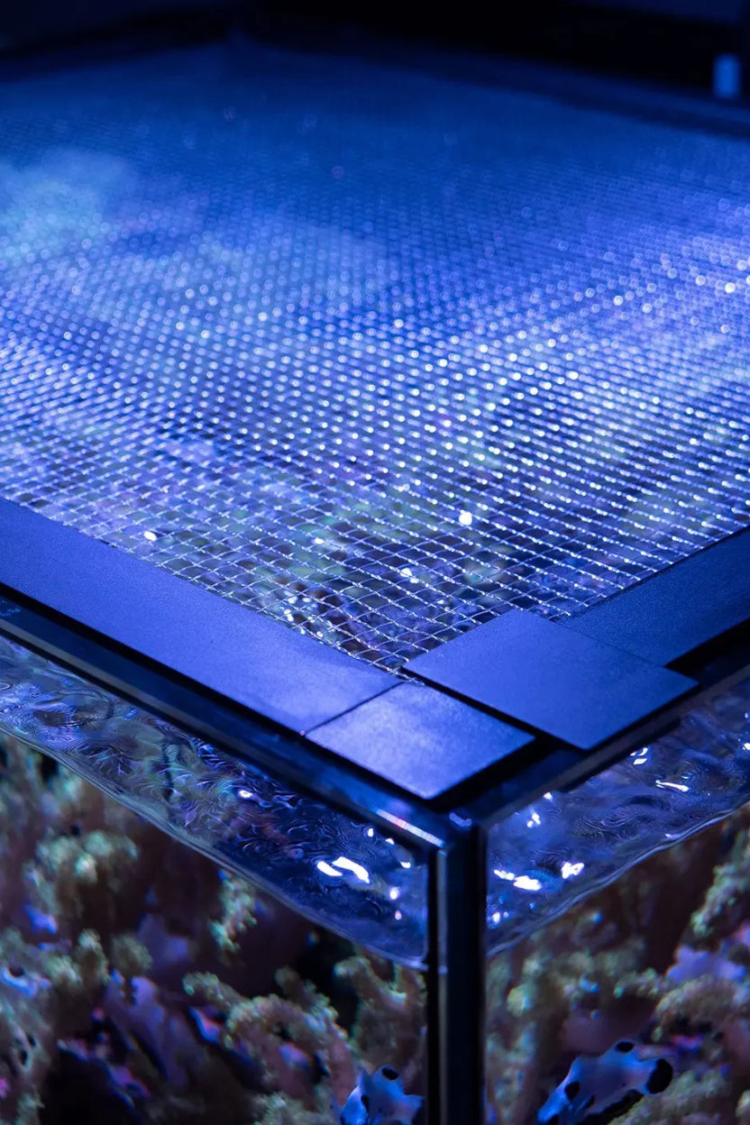 WATERBOX - Cubierta malla para acuario AIO 35.2