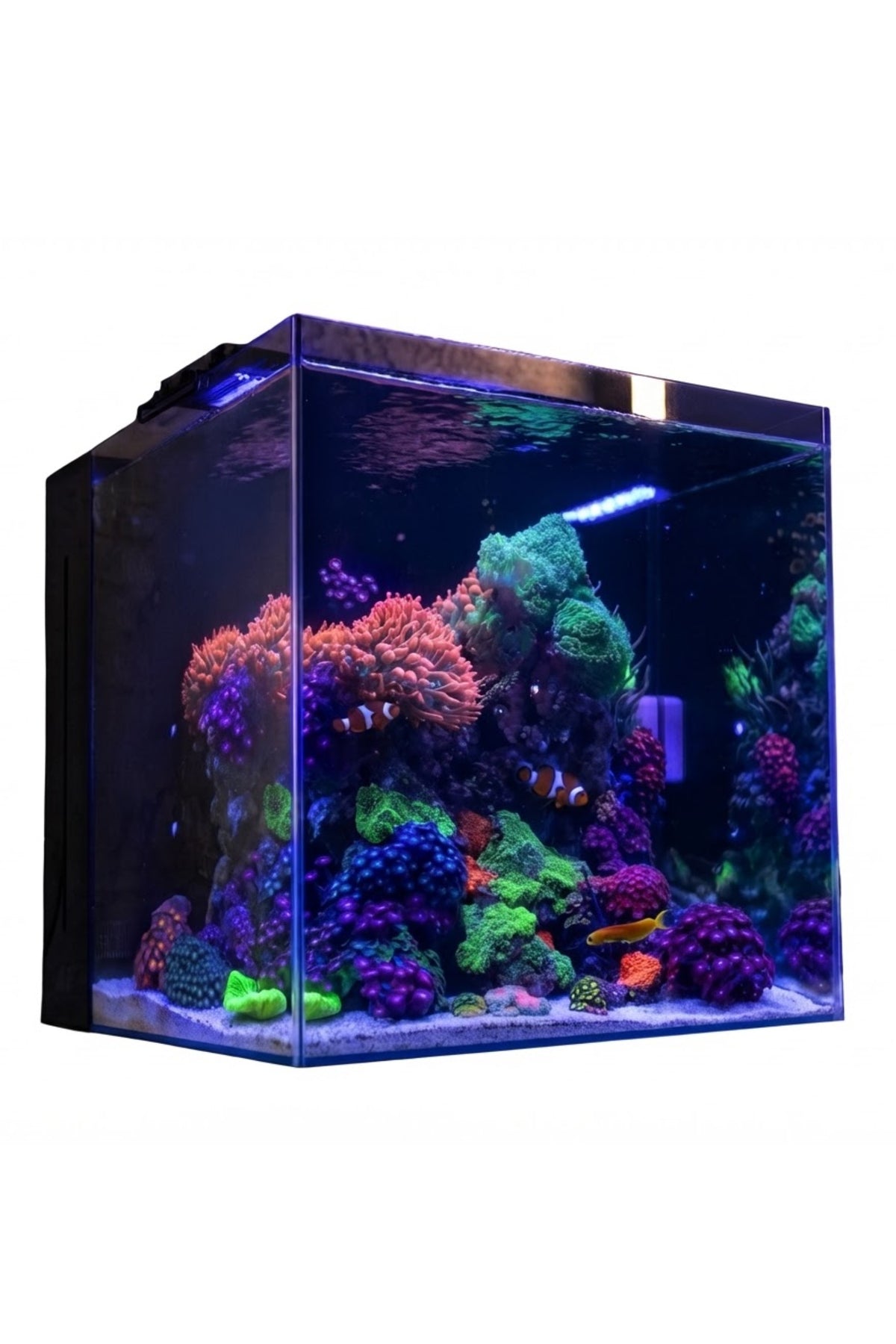 Acuario Marino Aquaforest NANO TANK de 91 litros