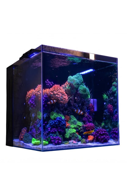 Acuario Marino Aquaforest NANO TANK de 91 litros