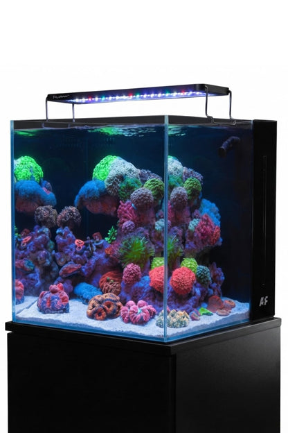Acuario Marino Aquaforest NANO TANK de 91 litros
