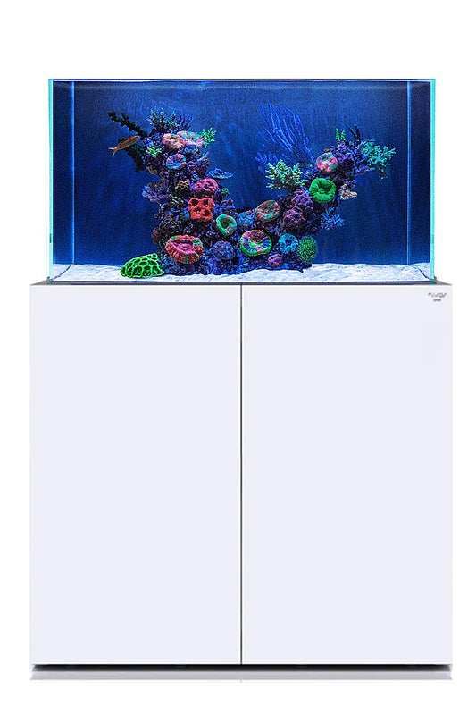 Acuario Marino Nyos OPUS® G2 300 Pro-Line Blanco de 262 litros