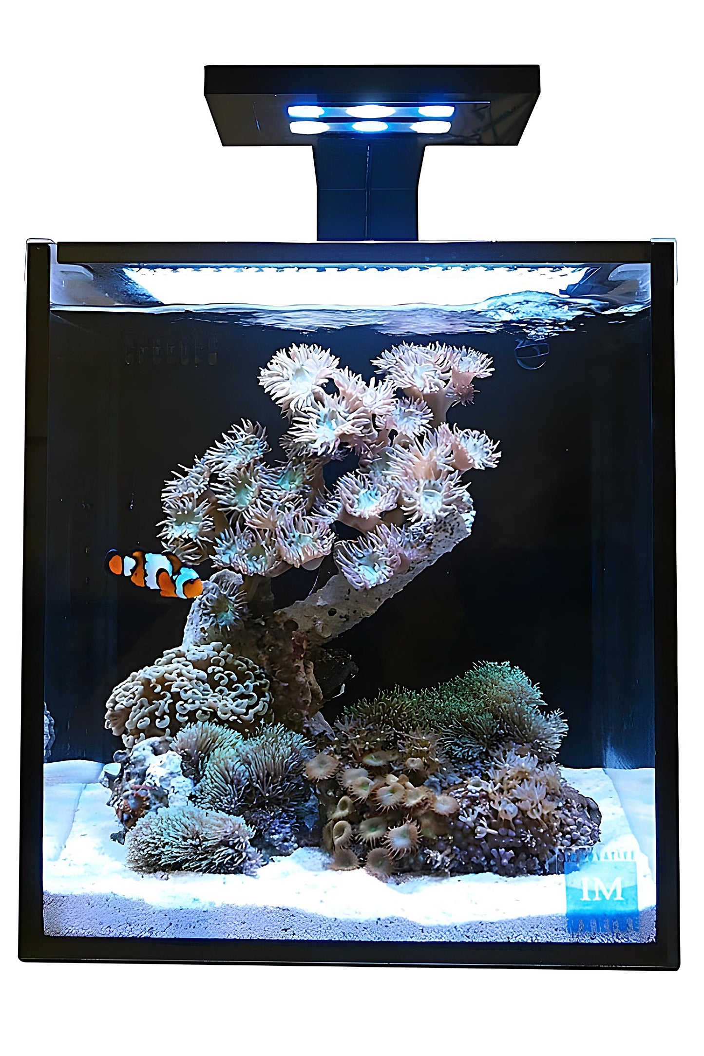 Fusion Nano 10 Aquarium-Set