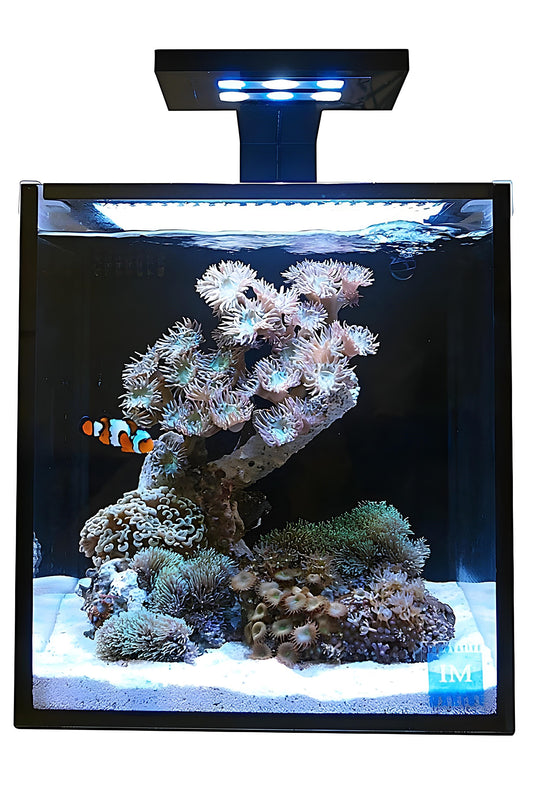 INNOVATIVE MARINE - Acuario Fusion Nano 10 (con skimmer)