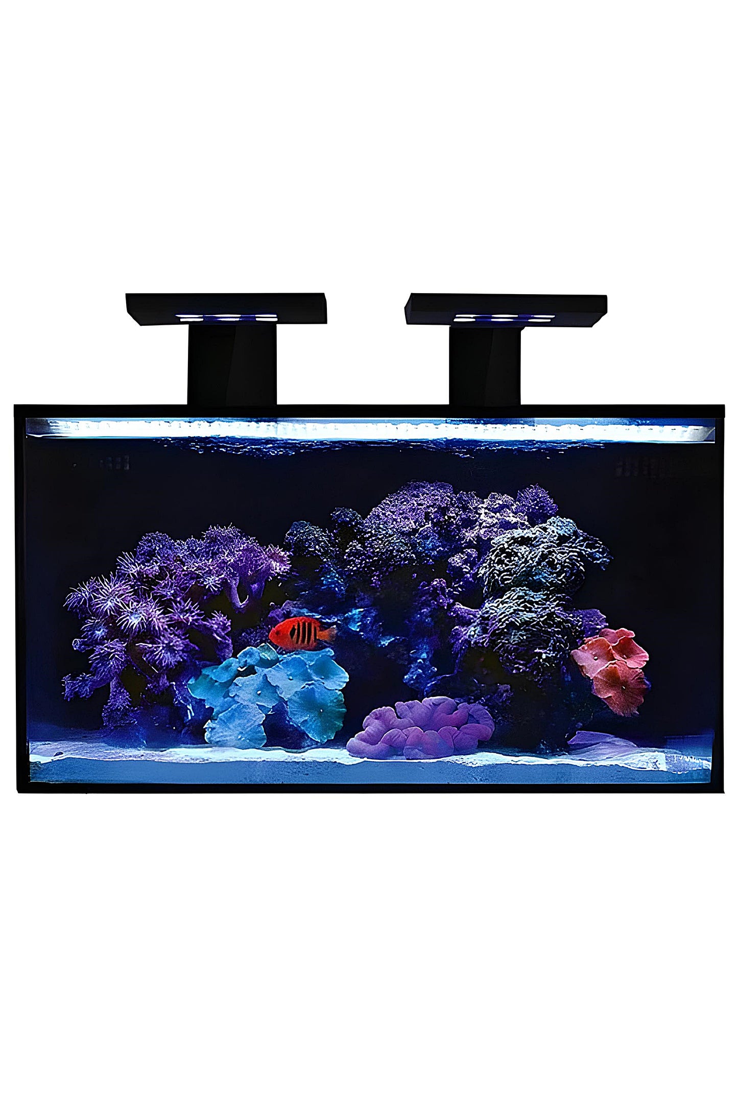 Fusion Nano 20 Premium Aquarium-Set