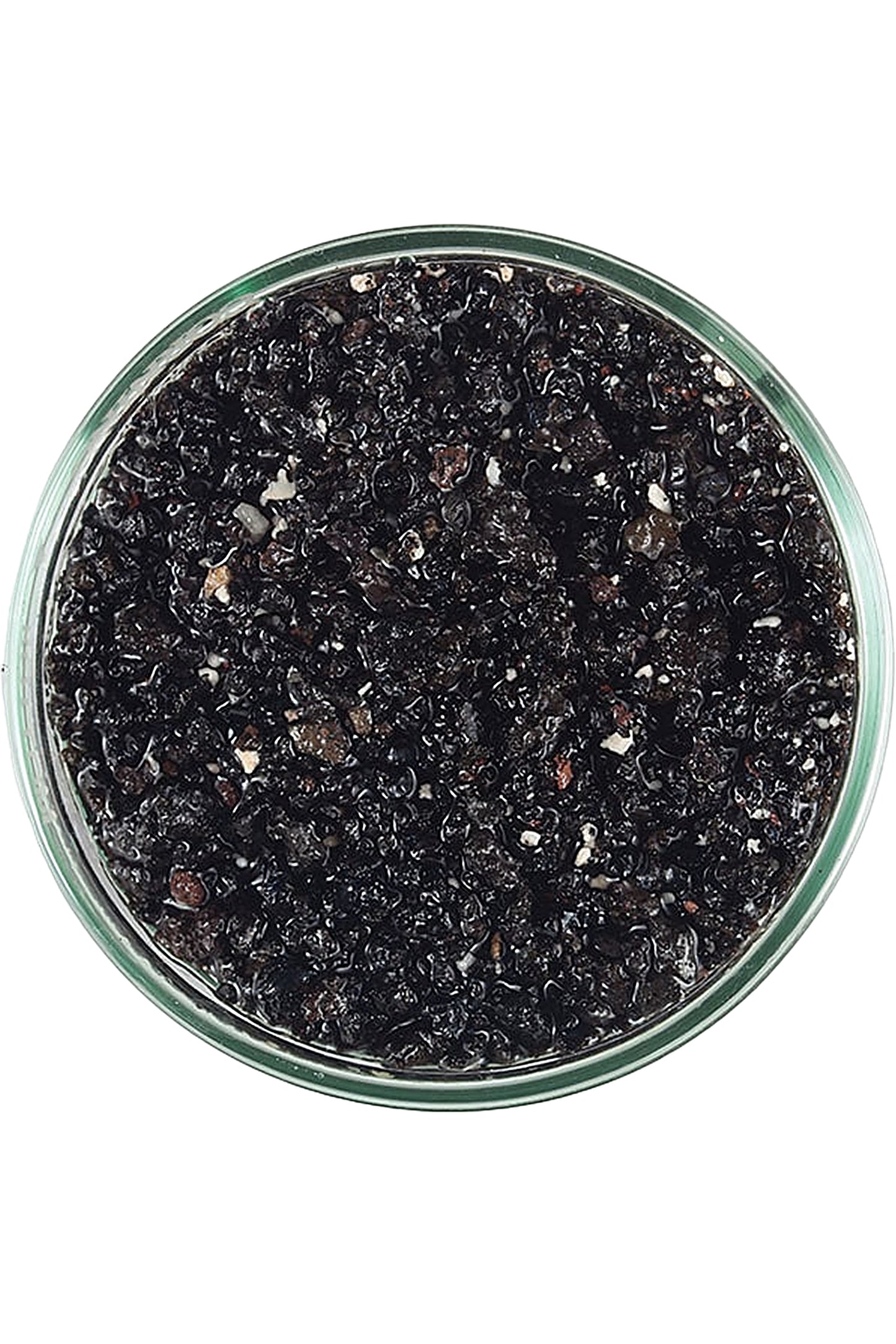 CARIBSEA - ARAG-ALIVE!™ - Arena viva - Hawaiian Black 9,07 kg