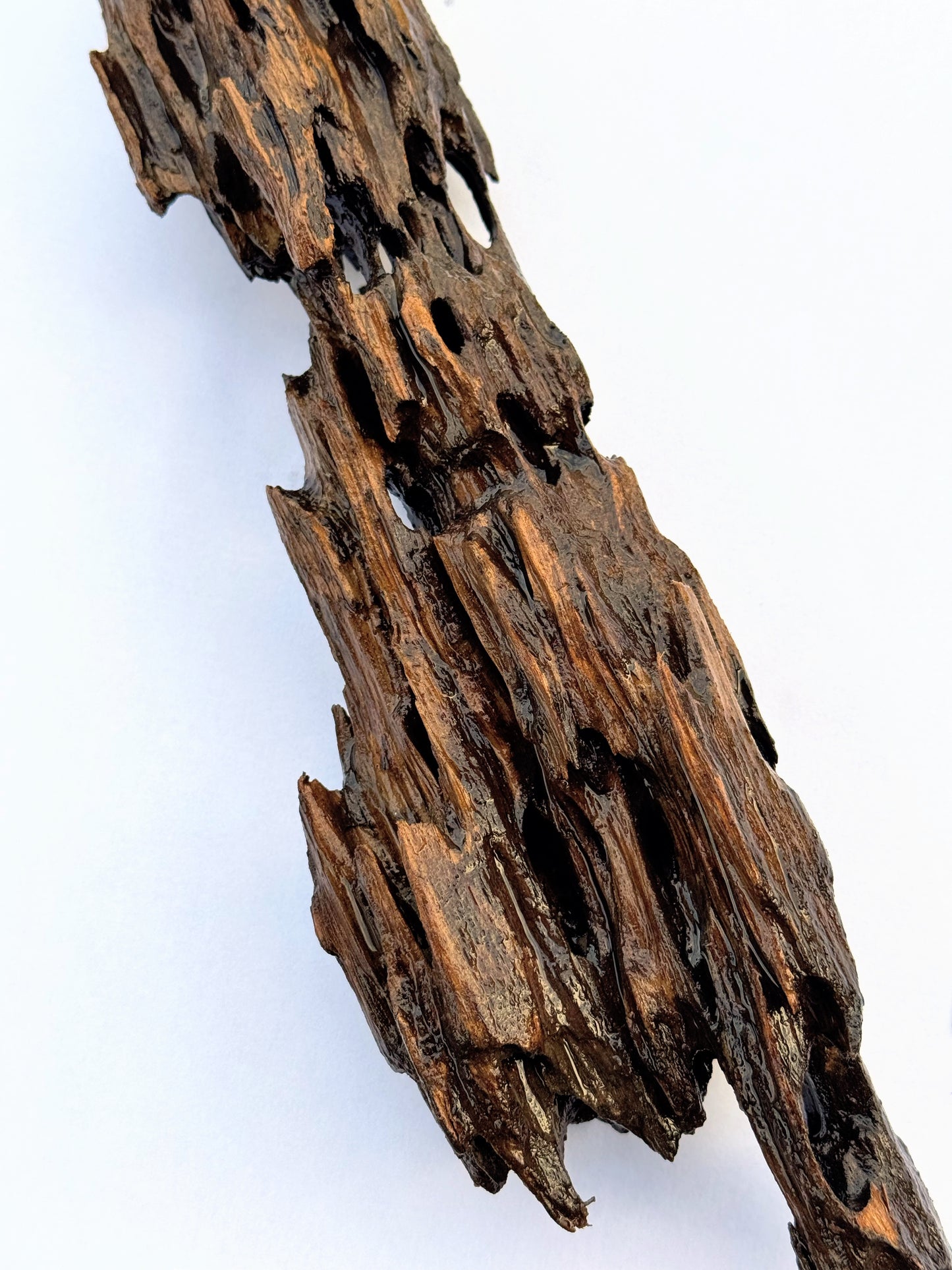 BONSAQUA - Shrimp Wood (Precio kg.)