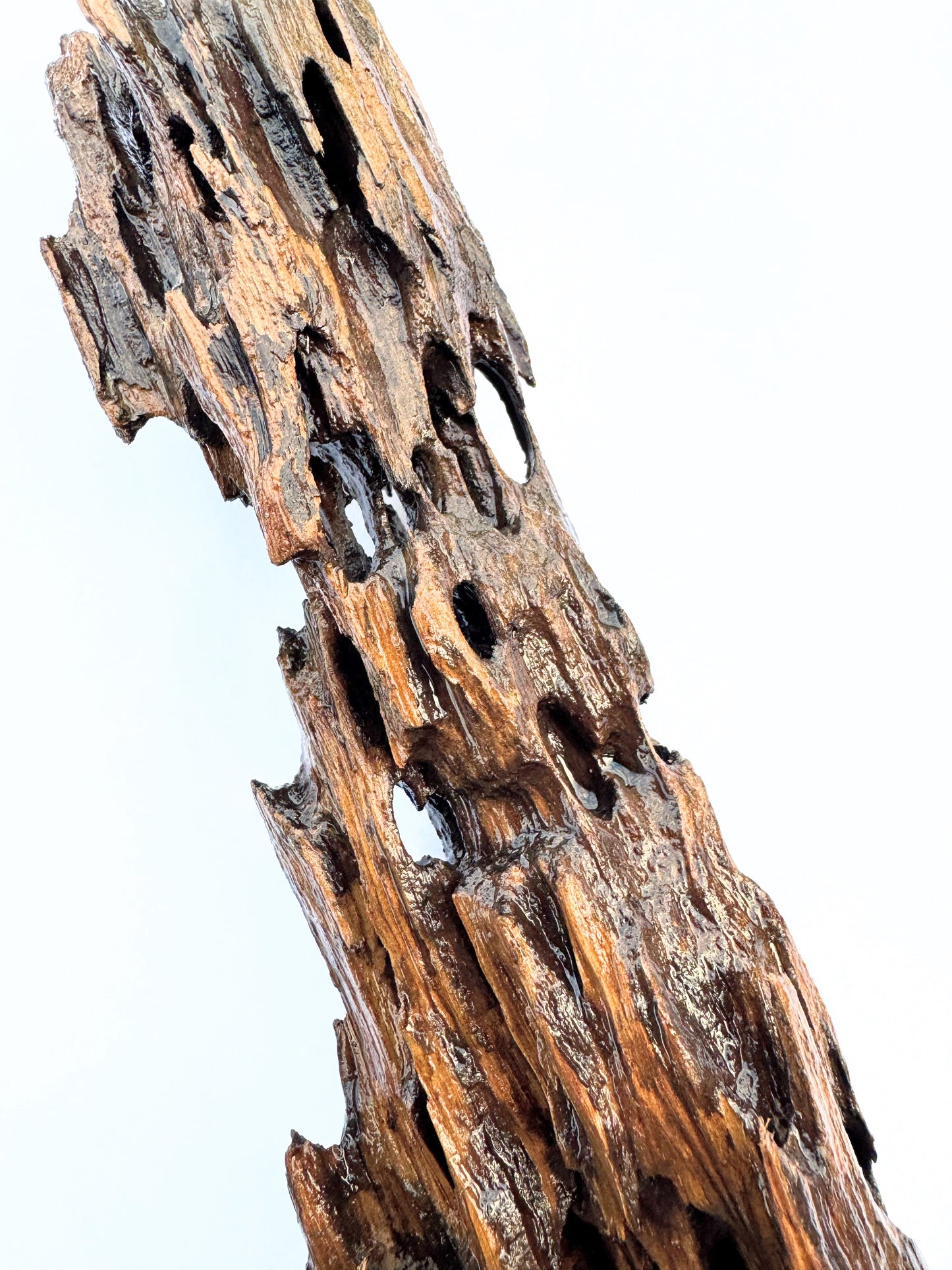 BONSAQUA - Shrimp Wood (Precio kg.)