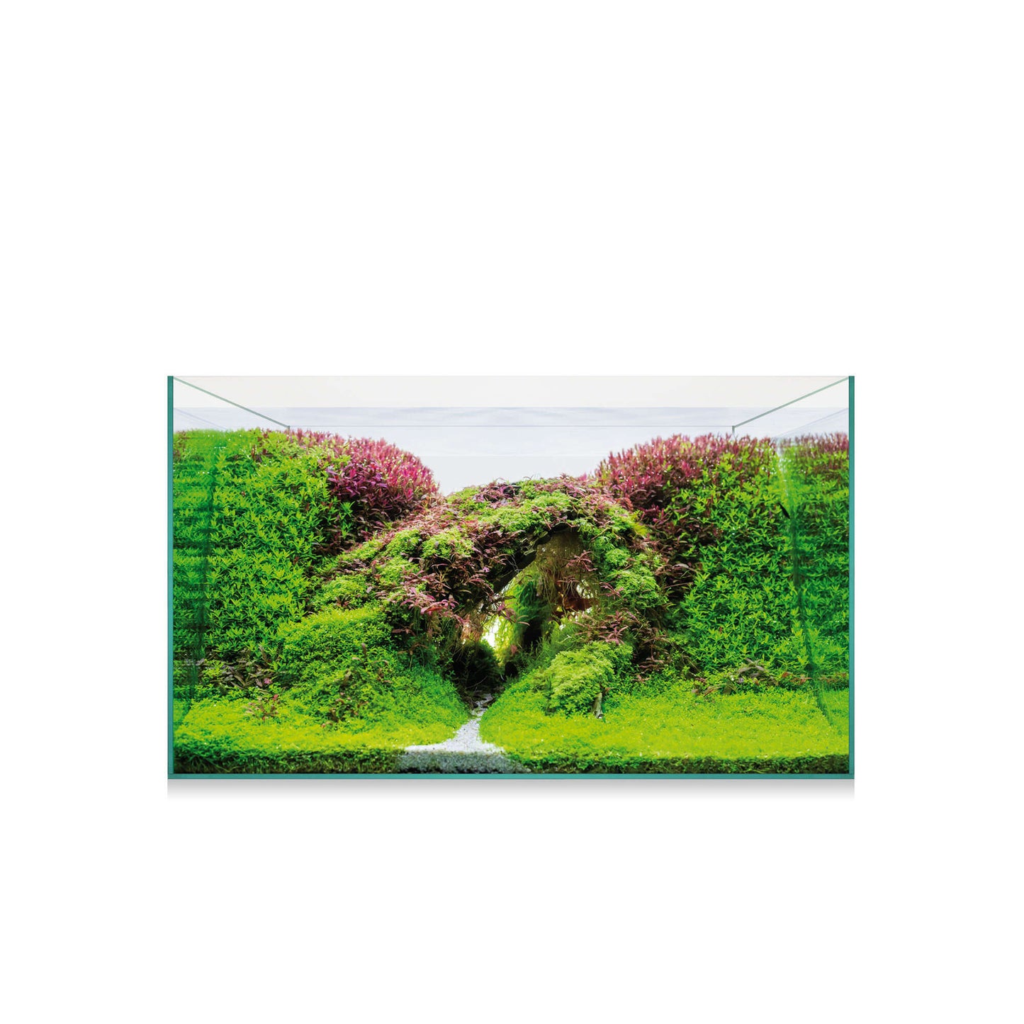 AquaScape 75 - Urna de cristal óptico de 74 litros