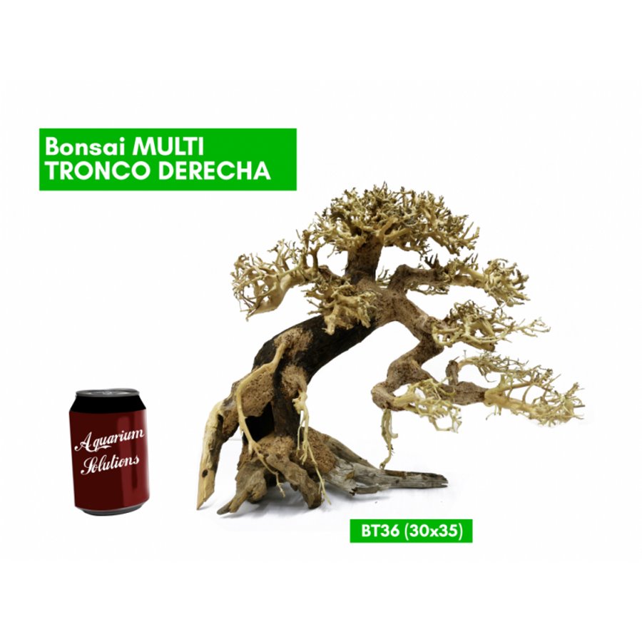 BONSAQUA - Bonsai Cascata Direita - Bt36 - 30x35 APROx.